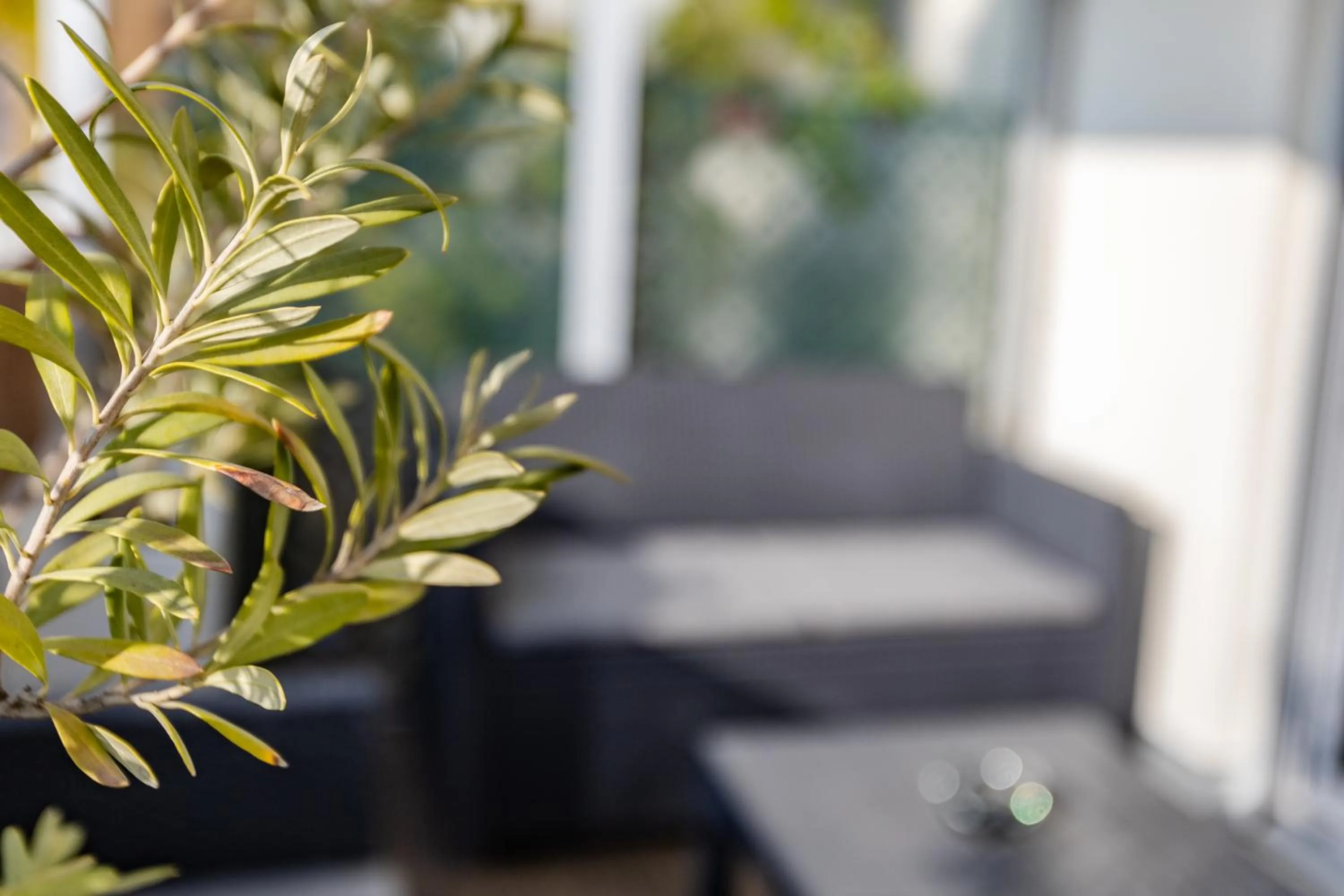 Patio in Chambre d'Amis - Chambres d'Hôtes-B&B-Guest House