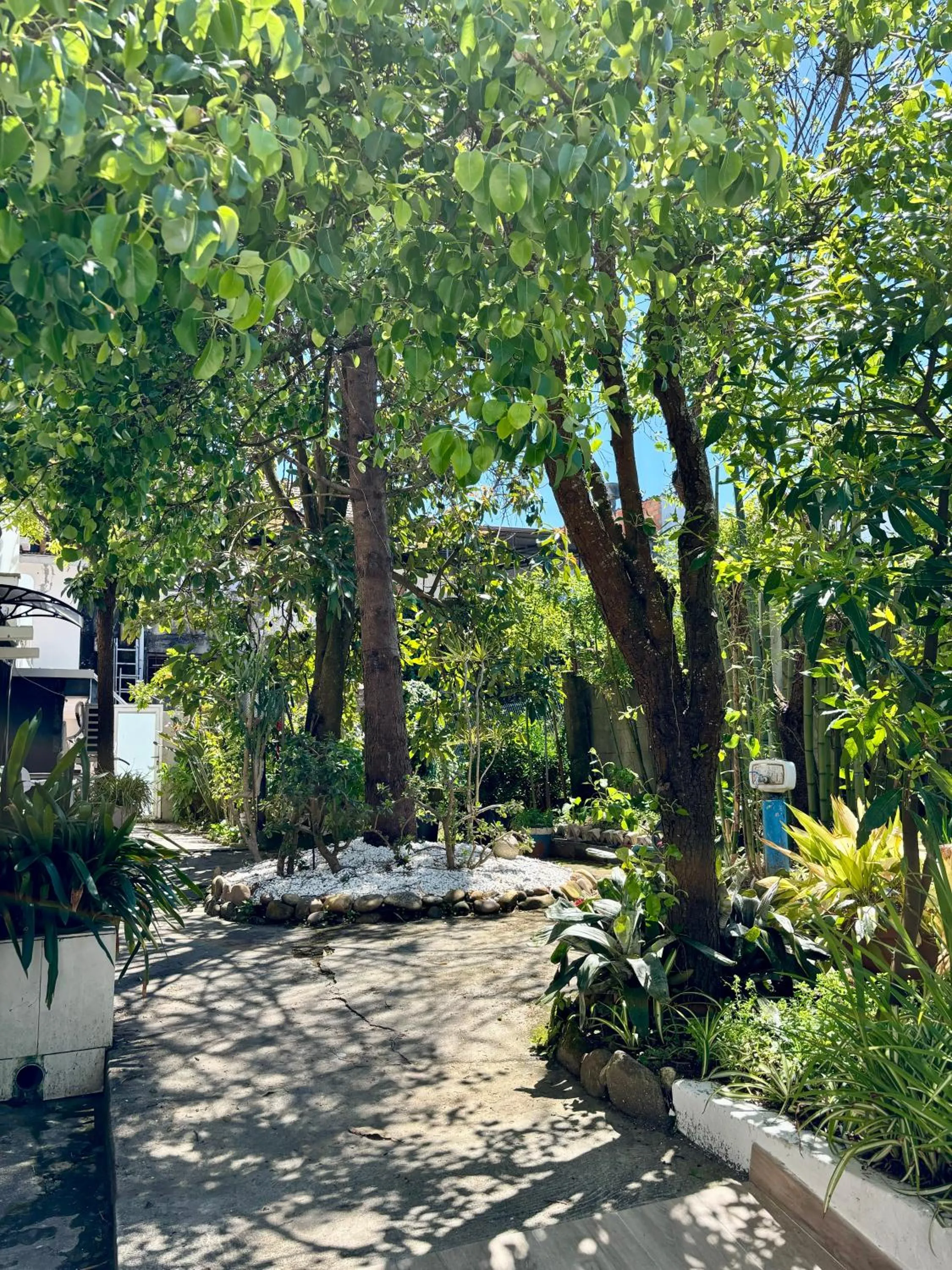 Garden in Hotel Vasco Da Gama