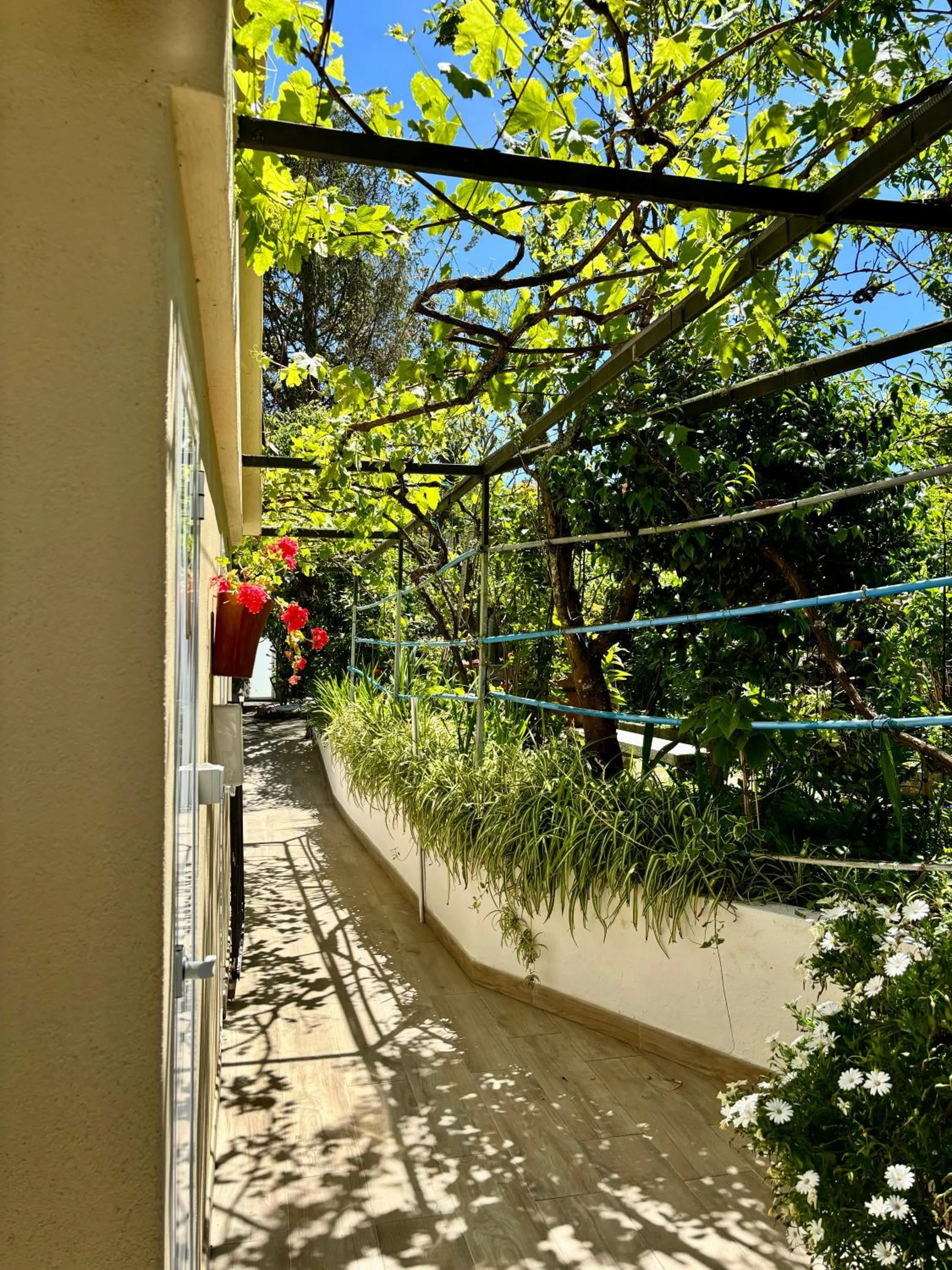 Garden in Hotel Vasco Da Gama