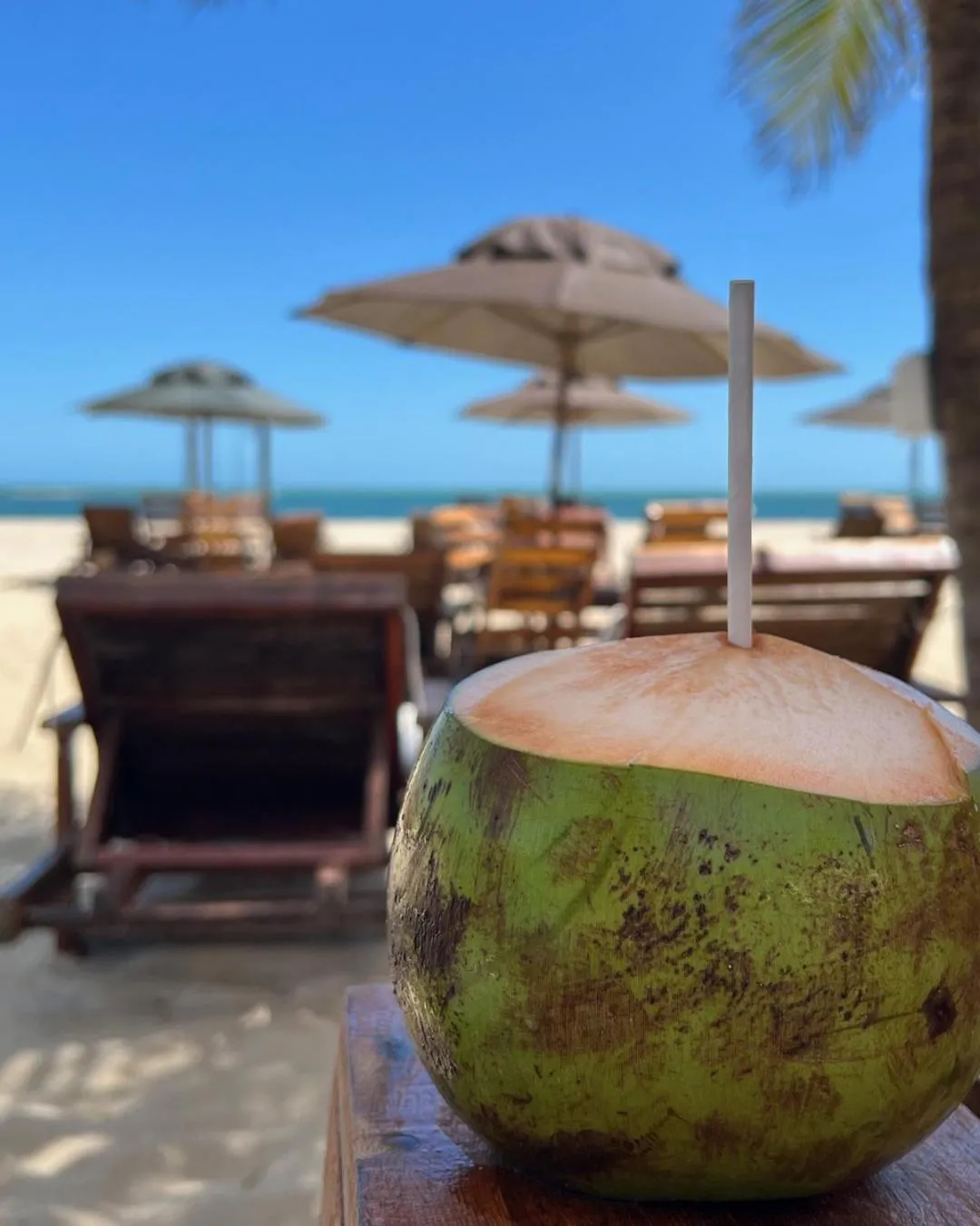 Day in Villa dos Poetas