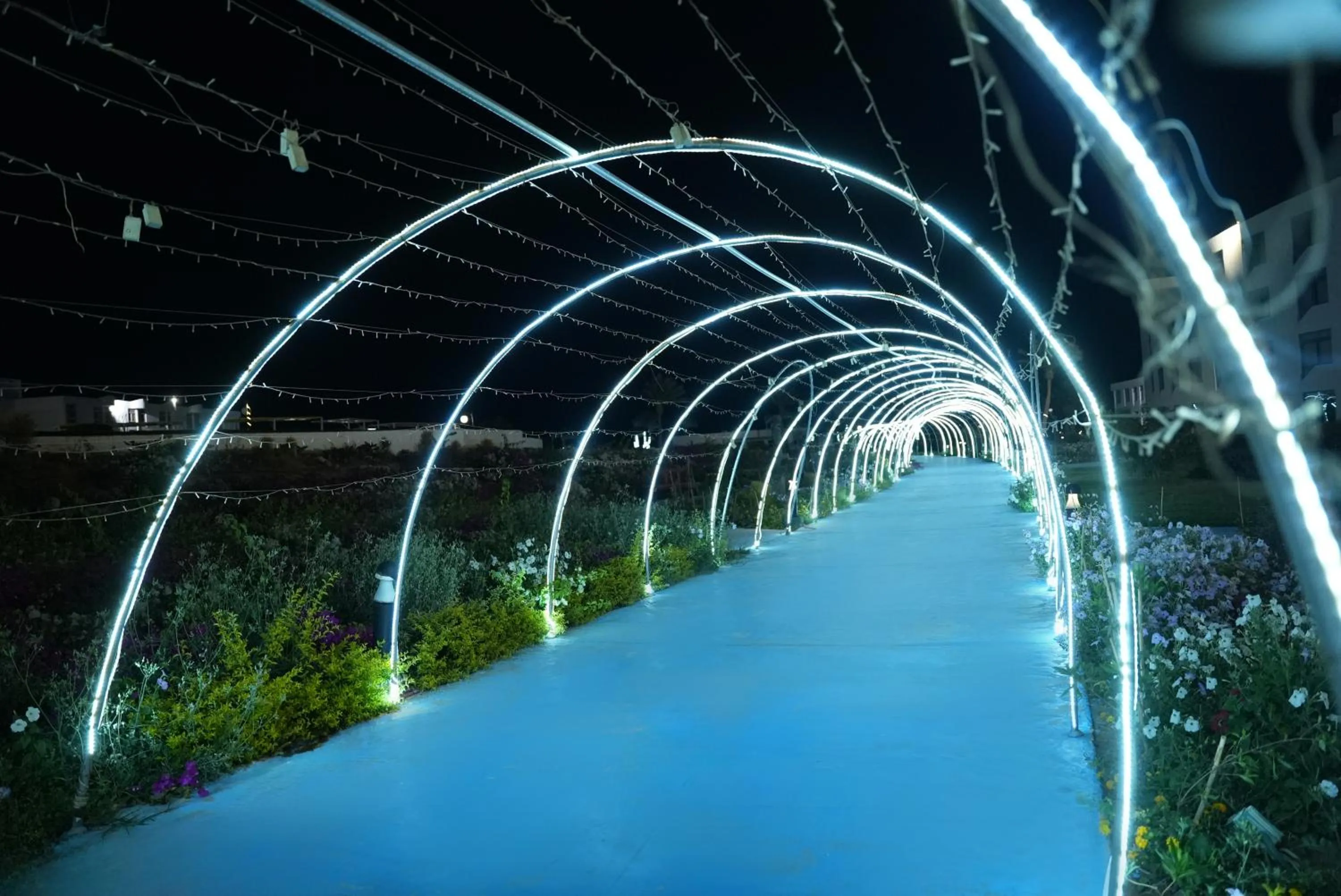 Night in Amarina Star Resort & Aqua Park Sharm El-Skeikh