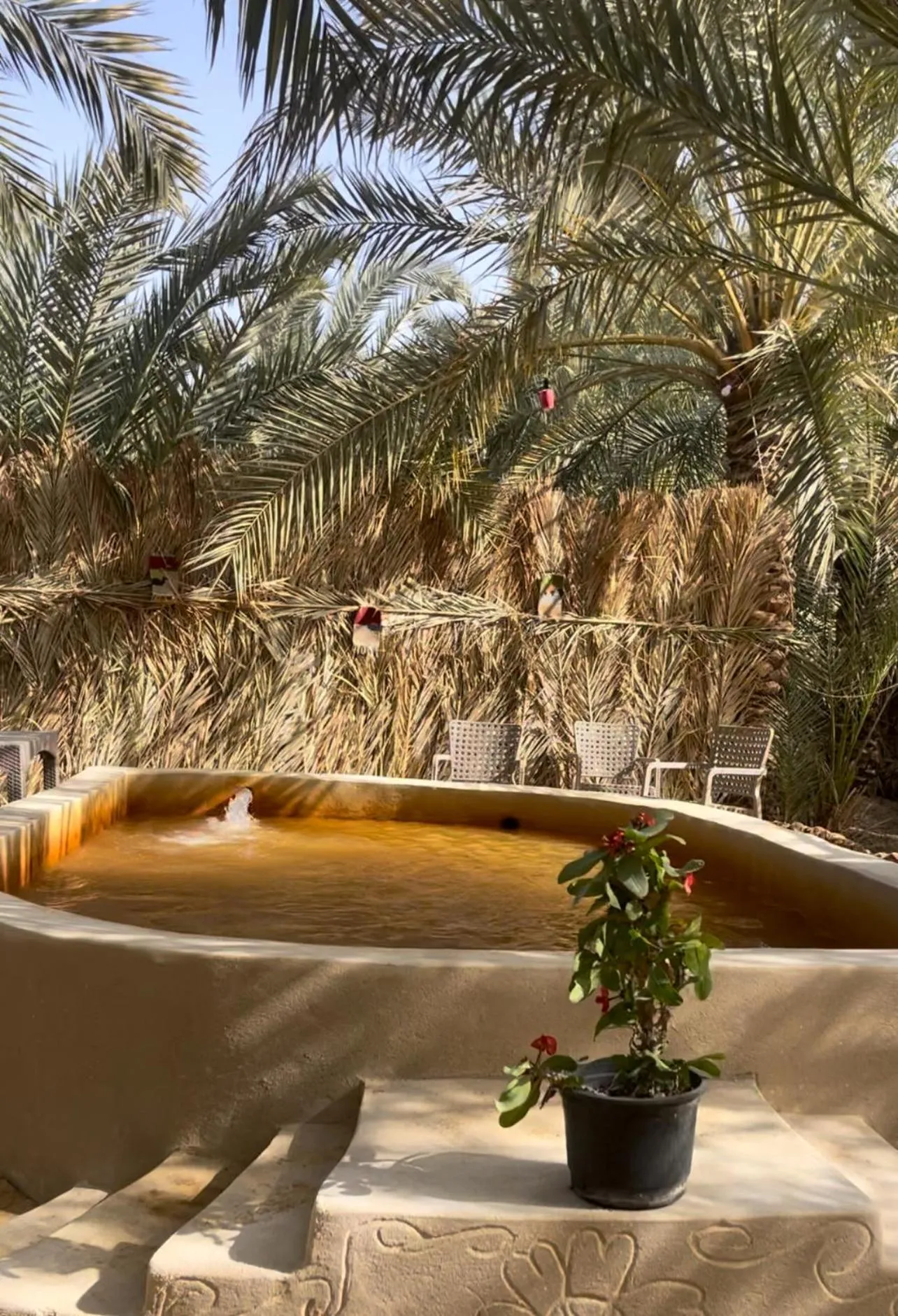 Hot Spring Bath in Siwa Palace Lodge