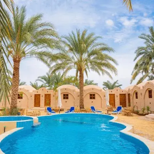 Siwa Palace Lodge Siwa Palace Lodge