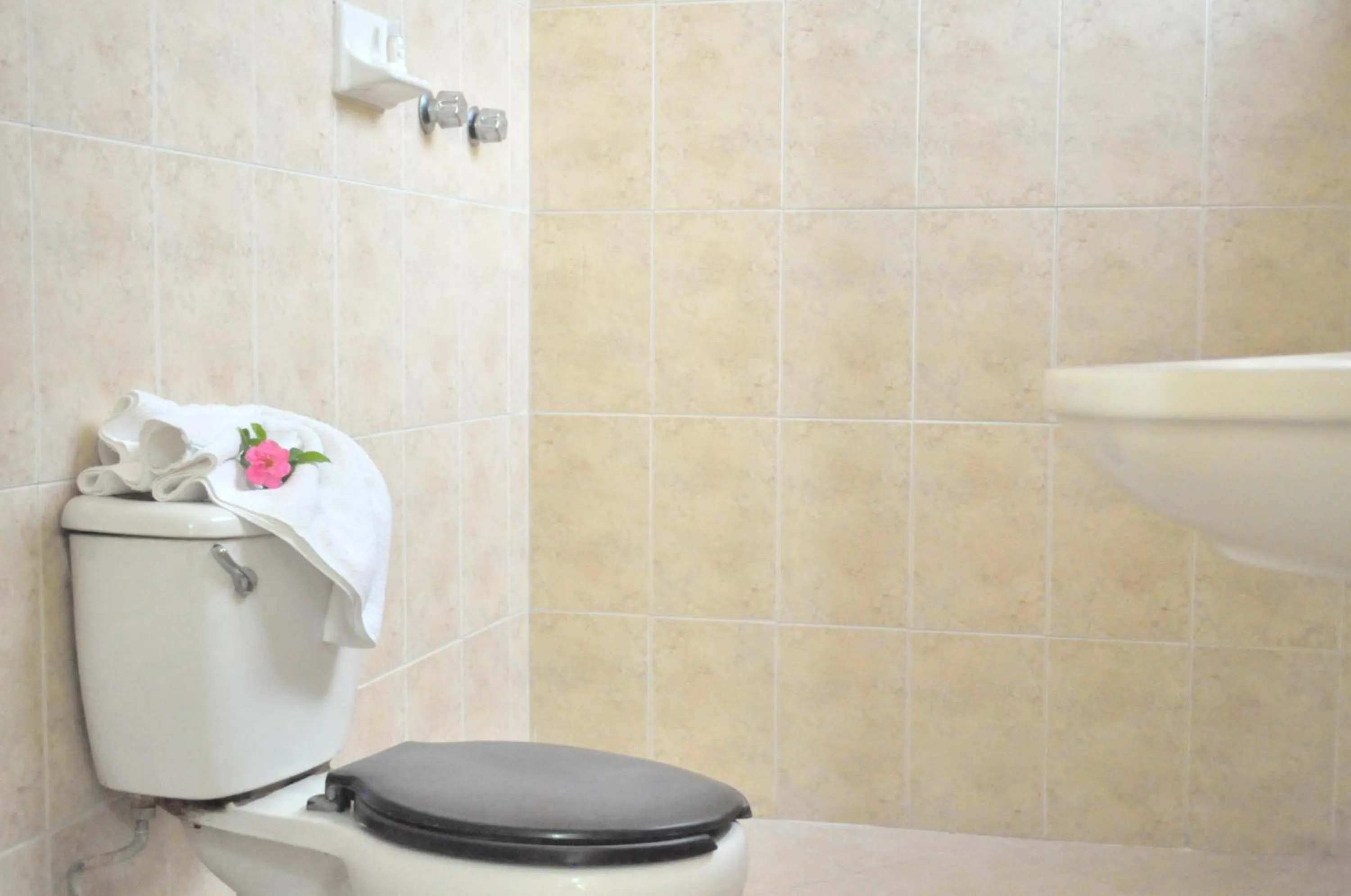 Shower in Hotel San Carlos