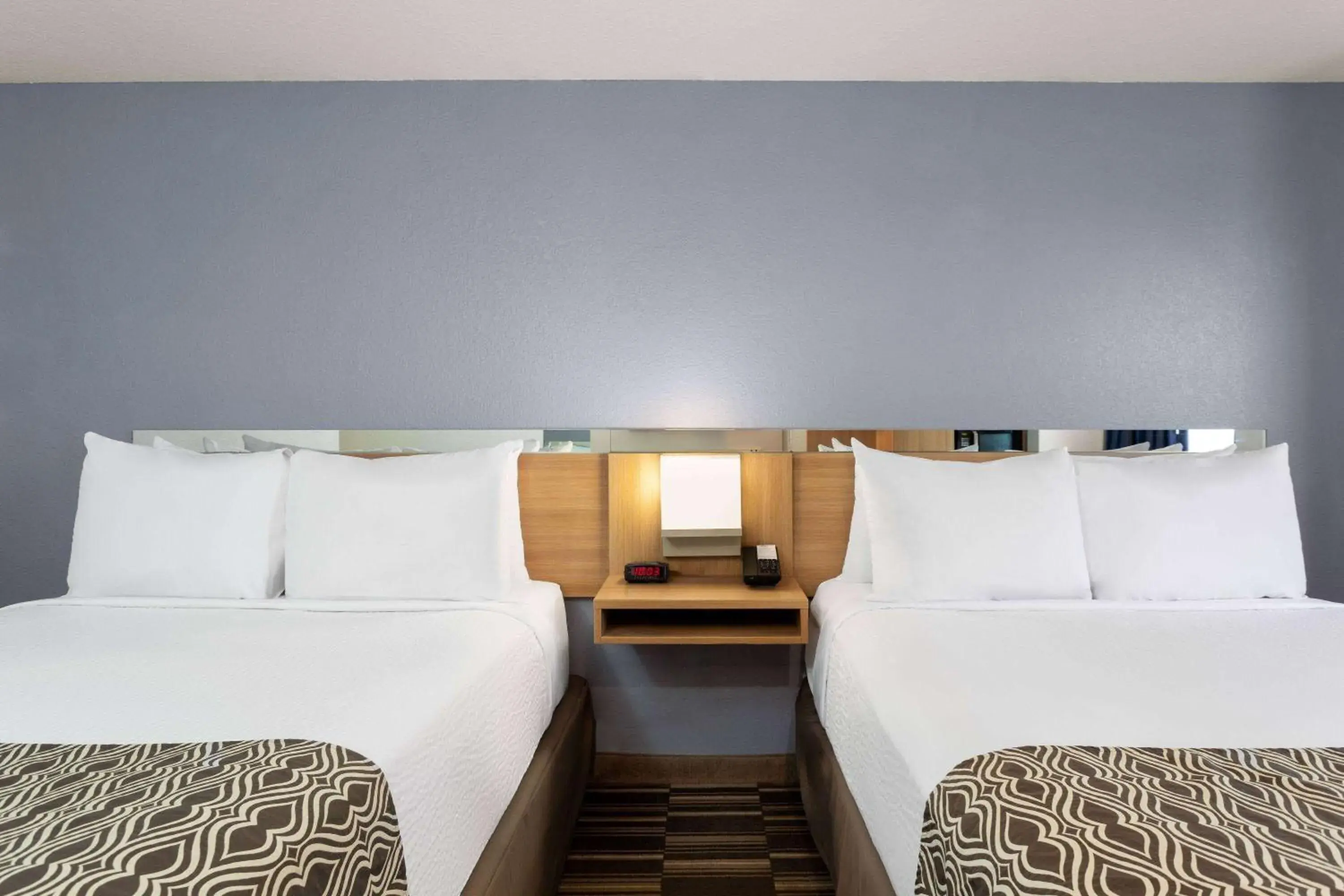 Photo of the whole room, Bed in Microtel Inn and Suites - Zephyrhills Photo of the whole room, Bed in Microtel Inn and Suites - Zephyrhills