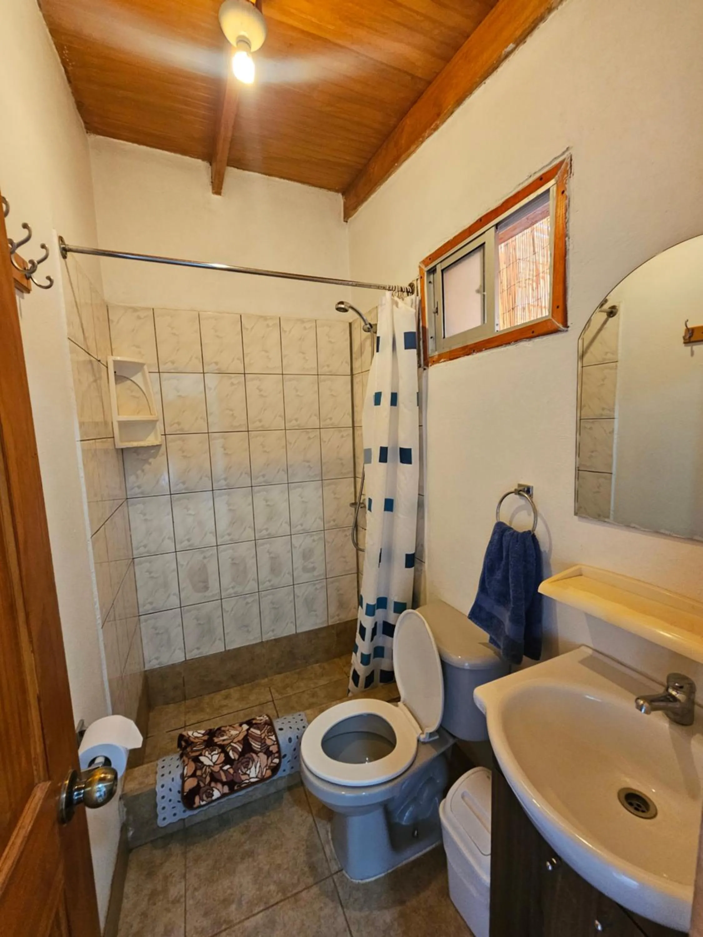 Shower in Hostal Casa los Duendes