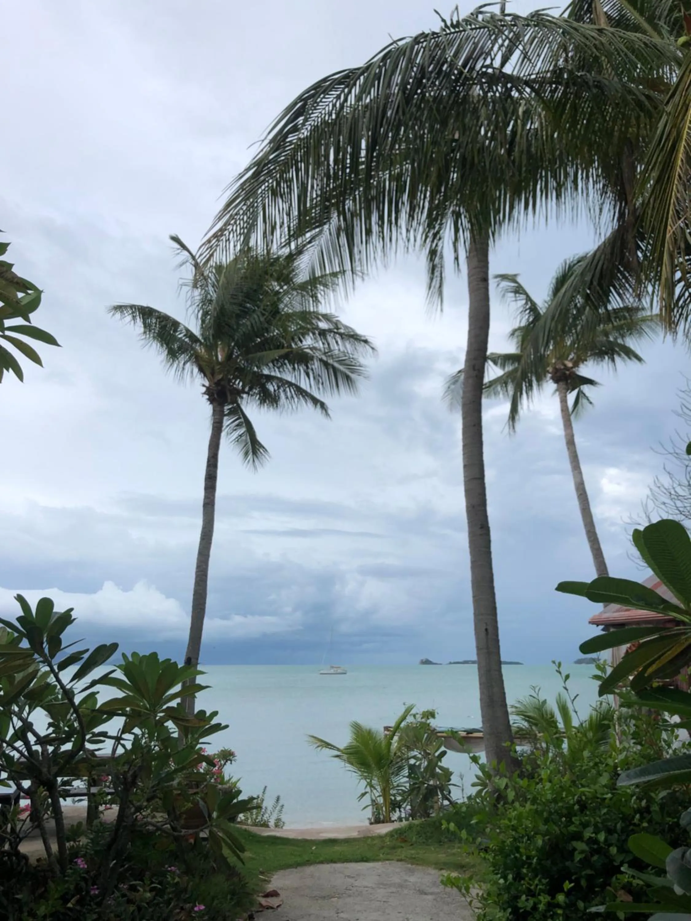 Beach in Avocado Koh Samui