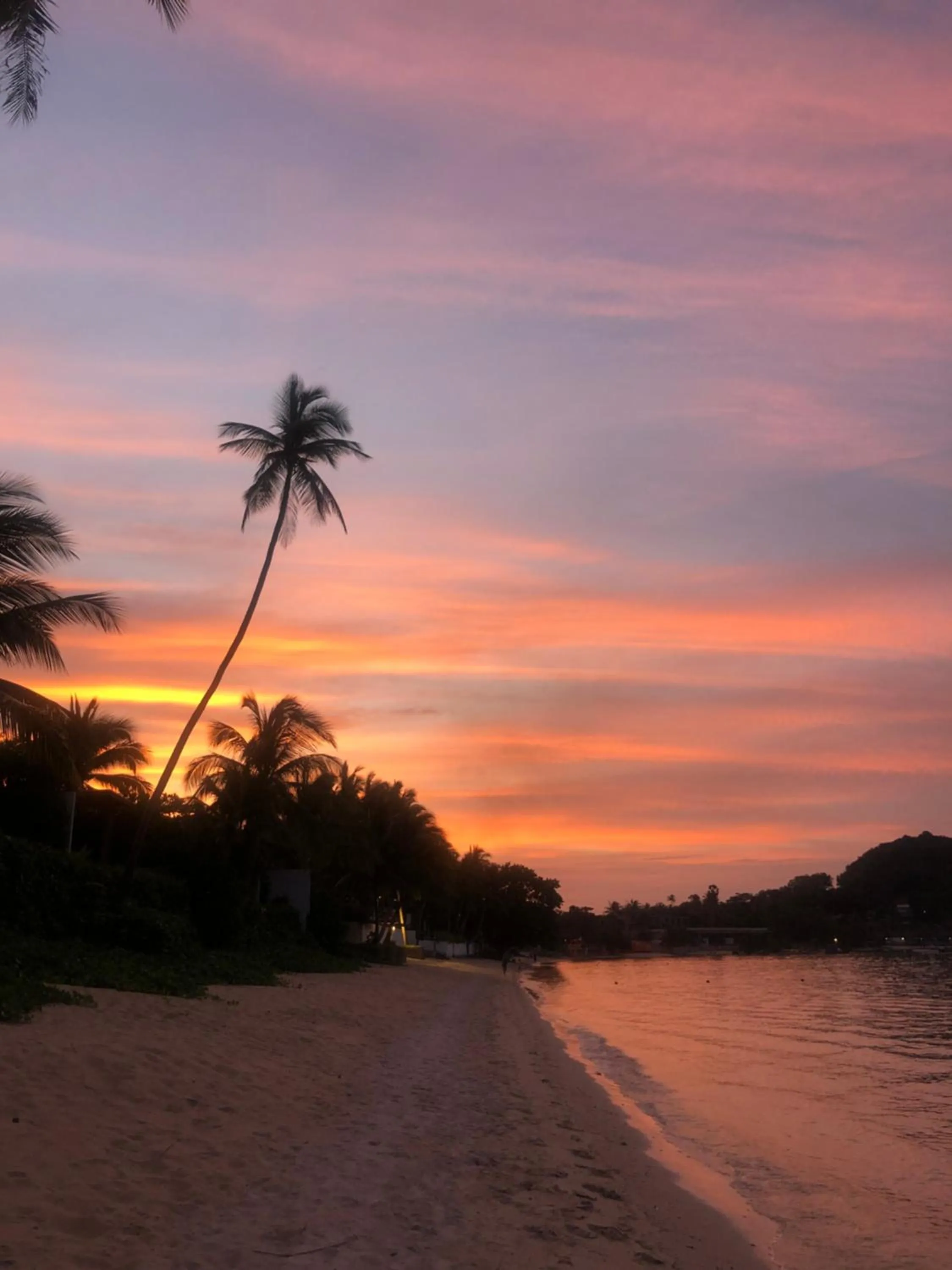 Beach in Avocado Koh Samui