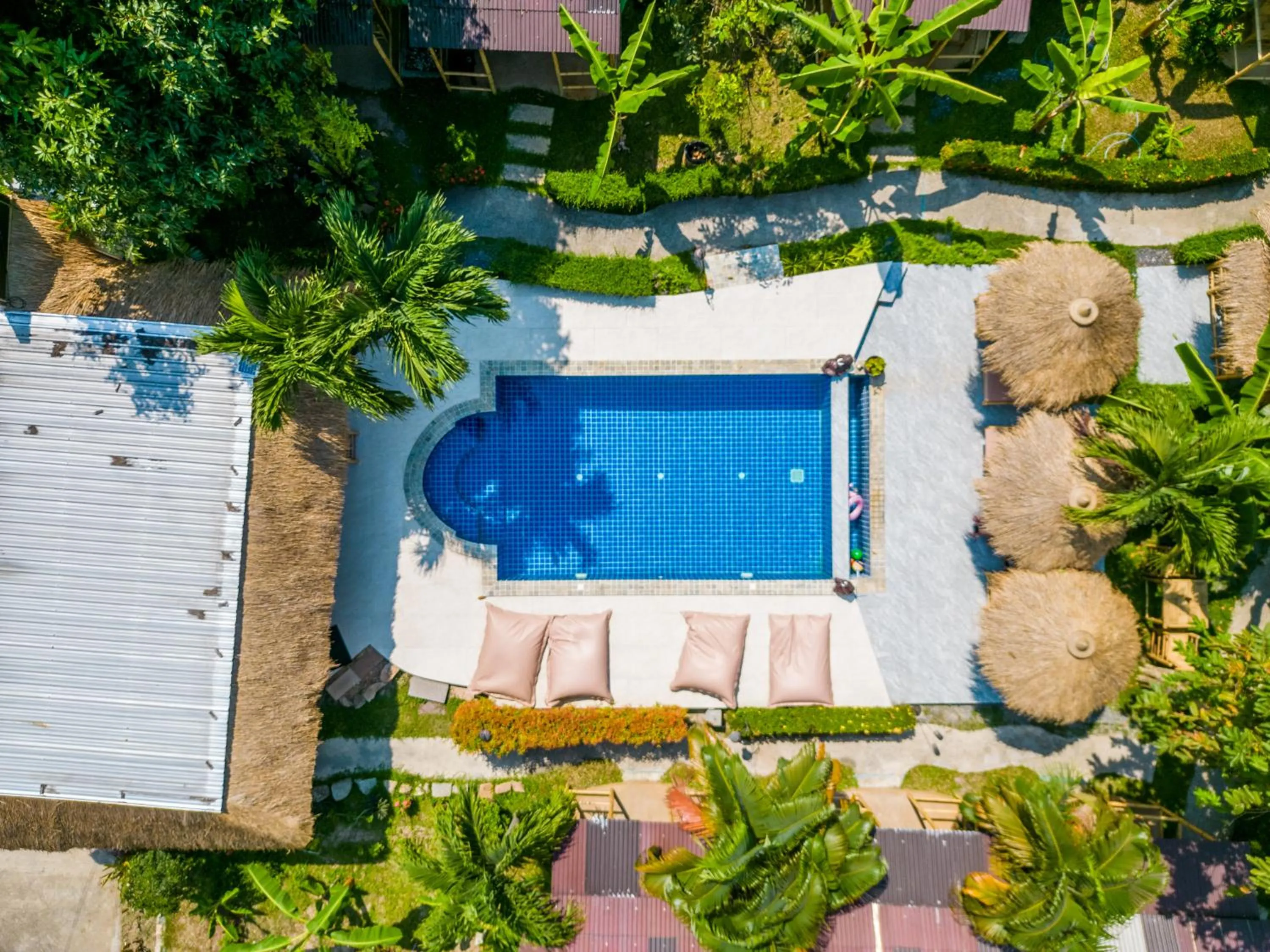 Swimming pool in Avocado Koh Samui