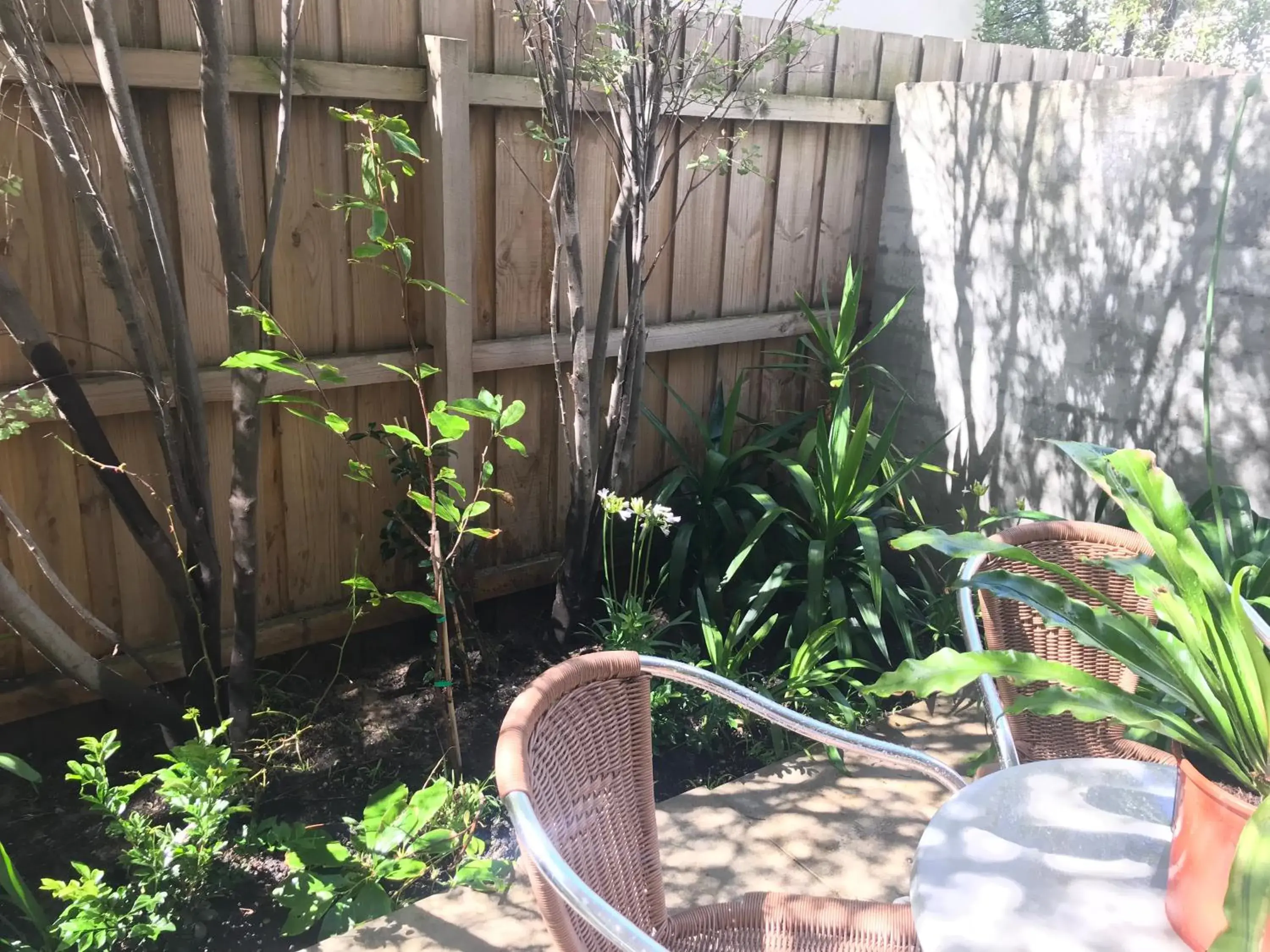 Beachside Apartments Bonbeach Beachside Apartments Bonbeach