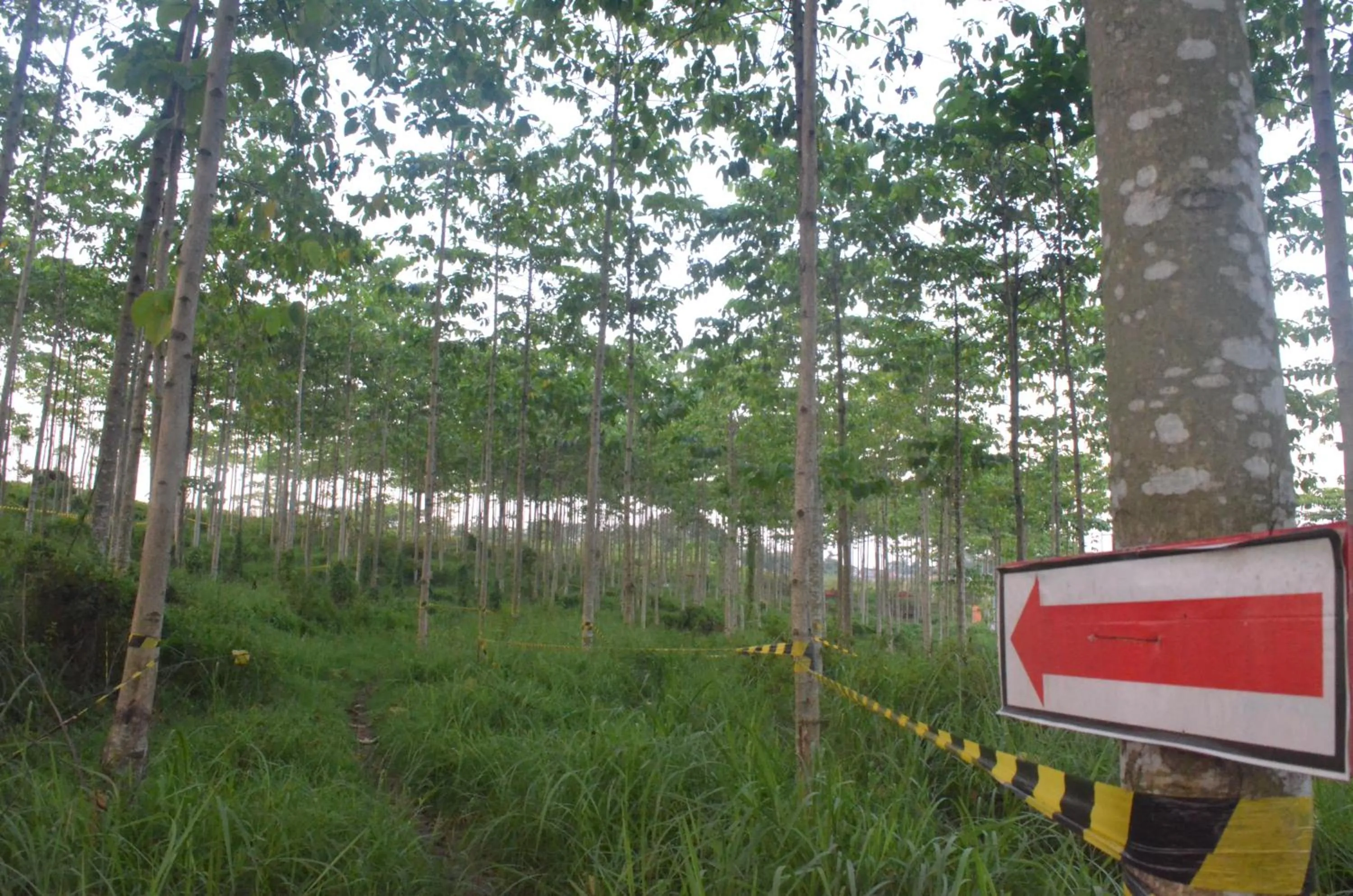 Cycling in ibis Budget Cikarang Festival