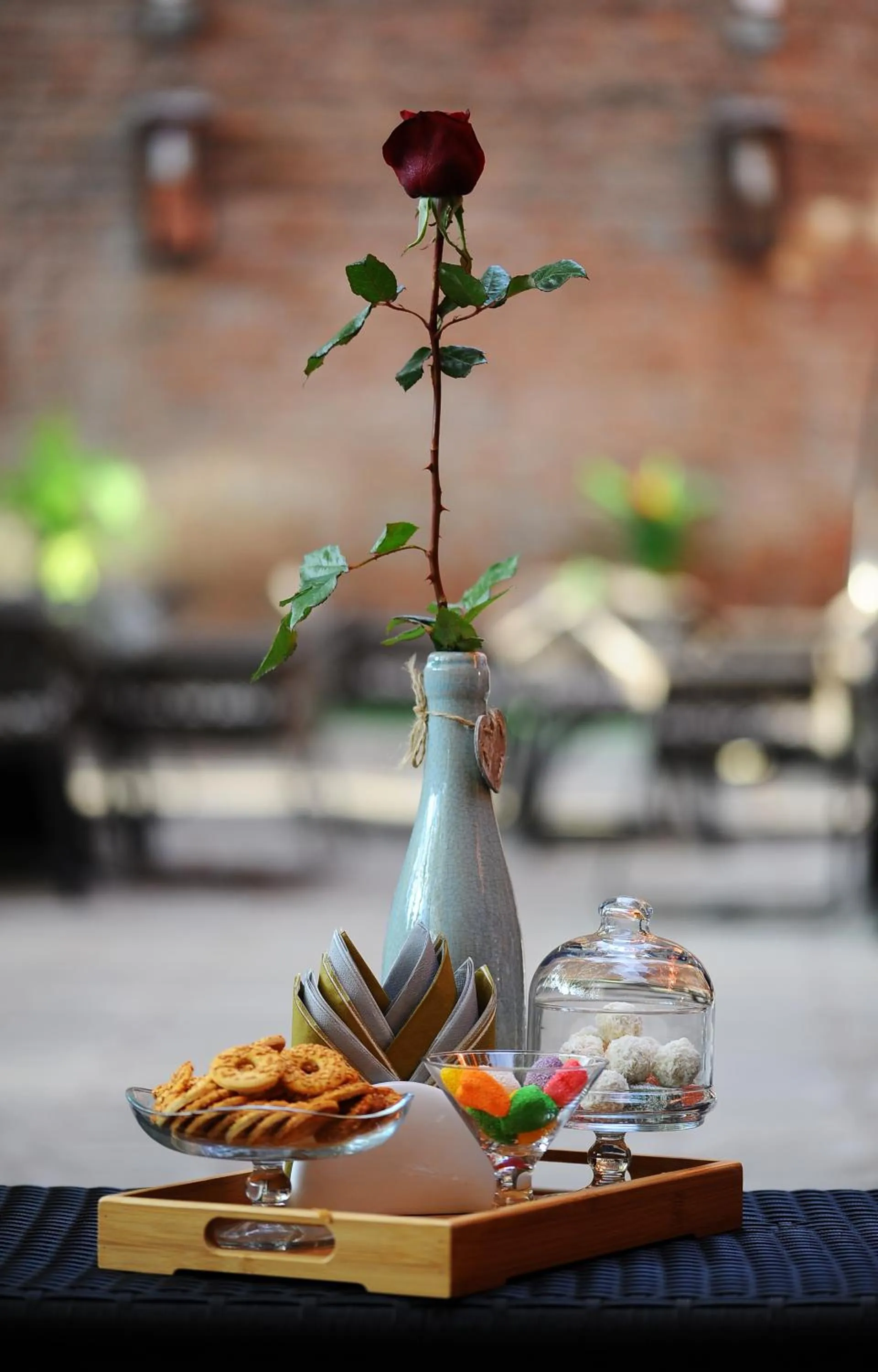Garden in Coral Boutique Hotel