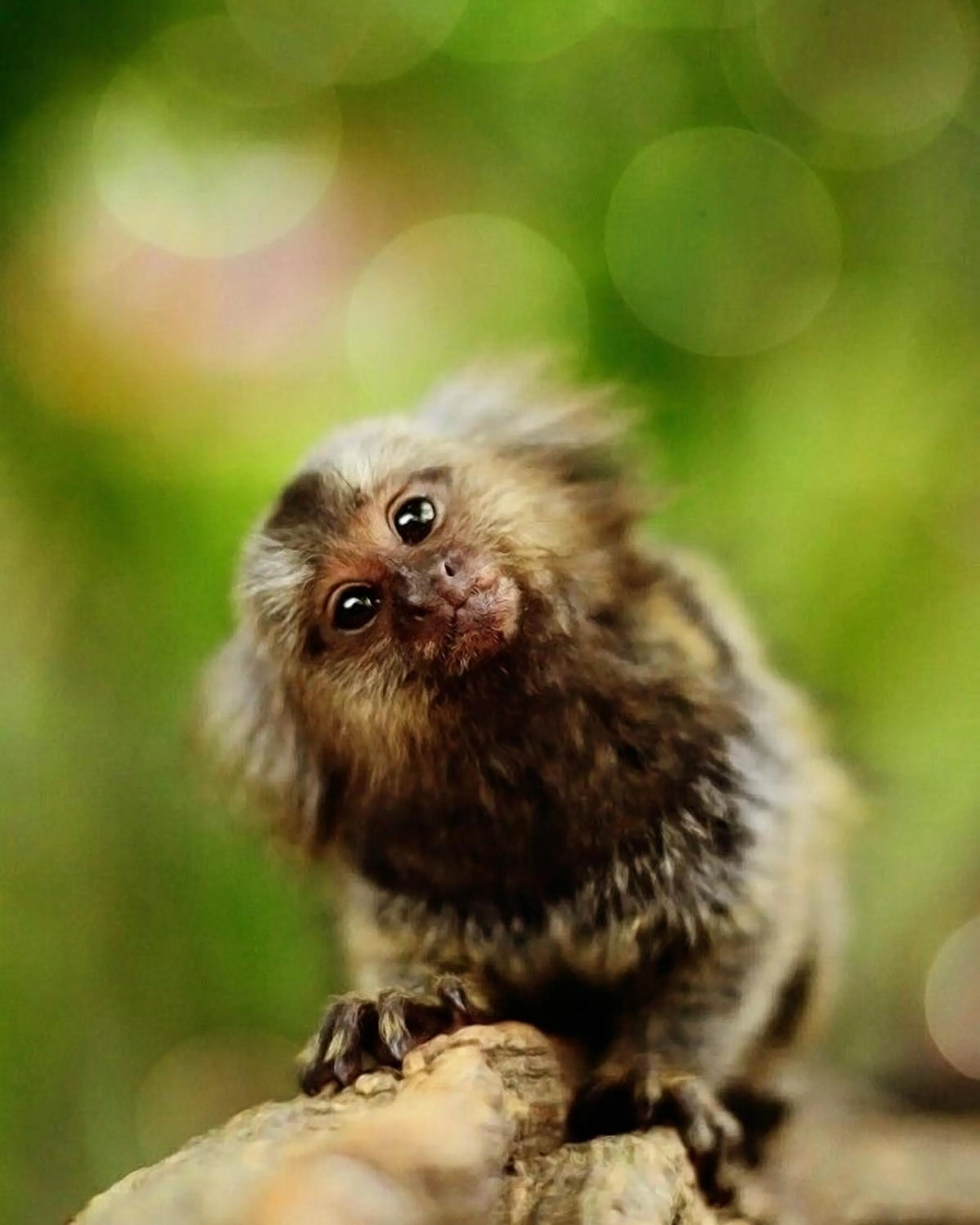 Neighbourhood in Panorama Inn