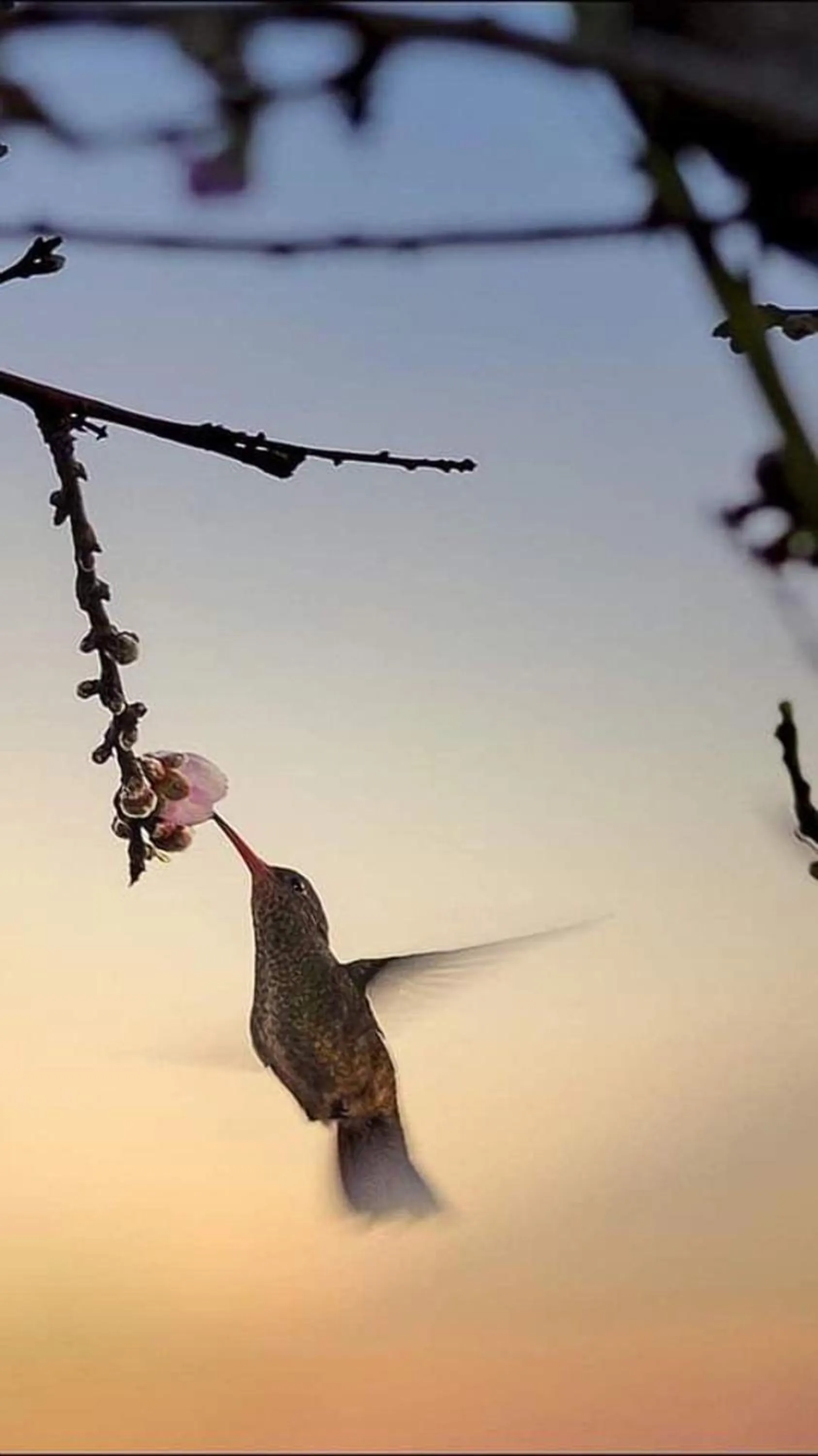 Neighbourhood in Panorama Inn