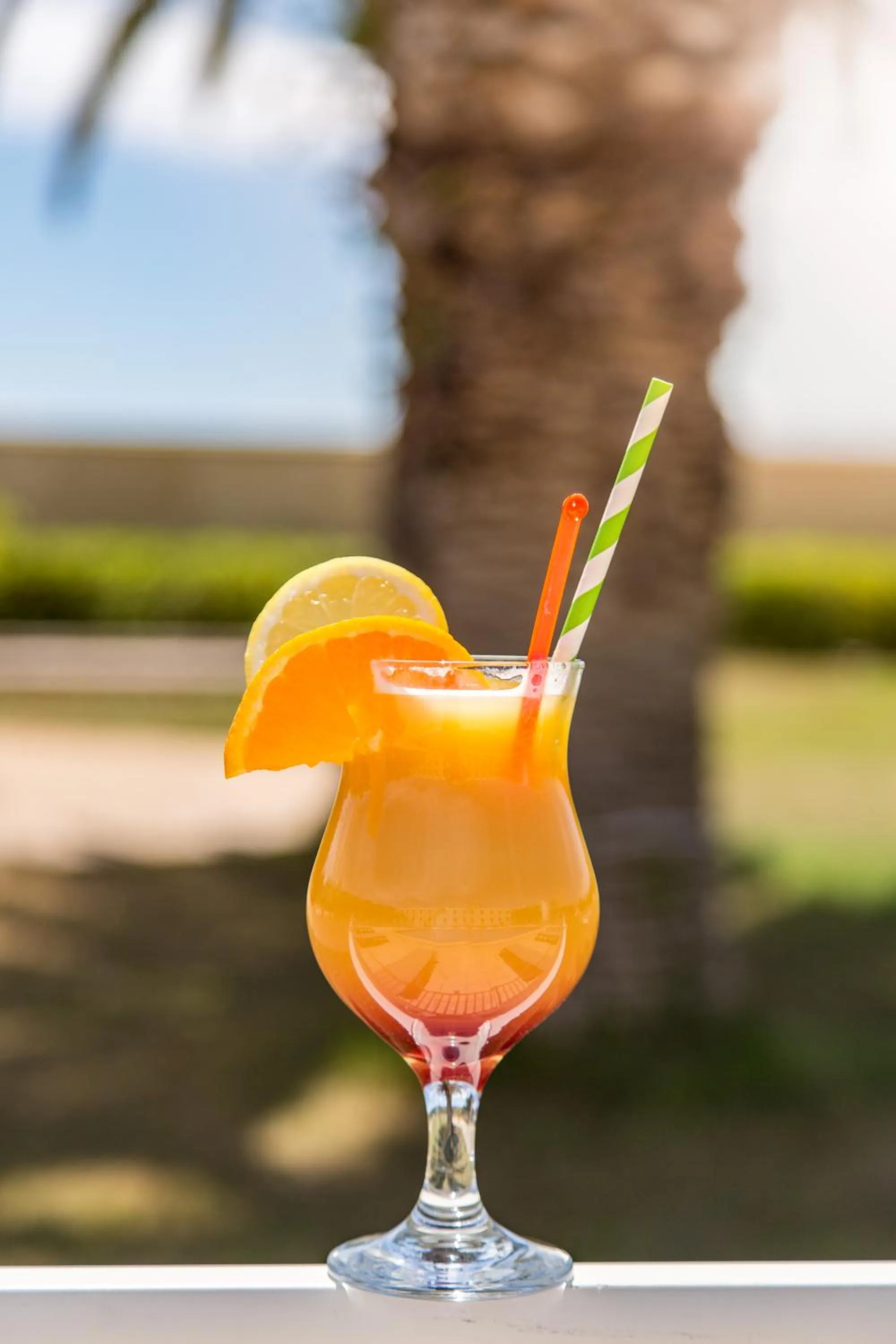 Garden in ibis Perpignan Nord Rivesaltes