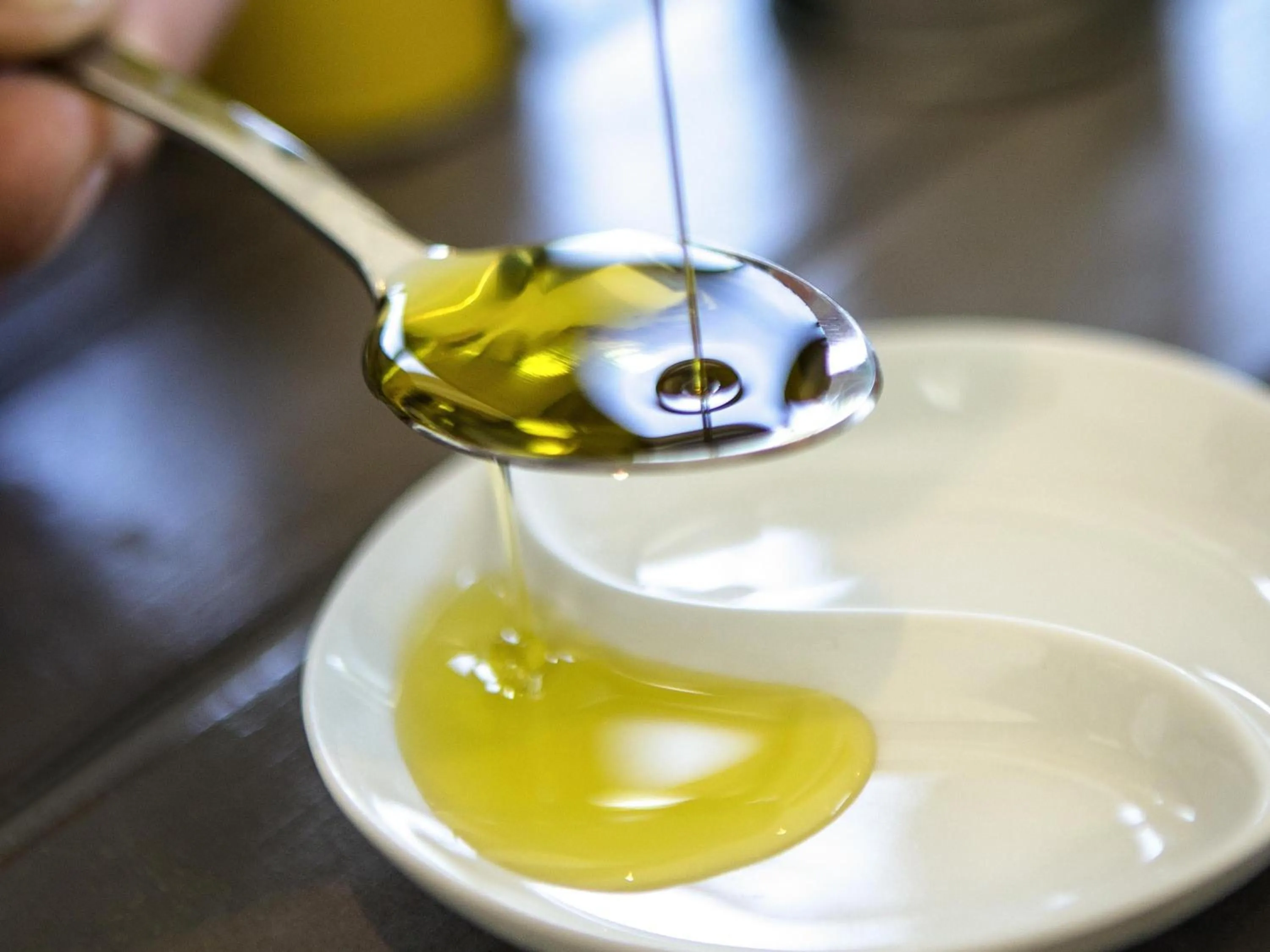 Other in ibis Perpignan Nord Rivesaltes