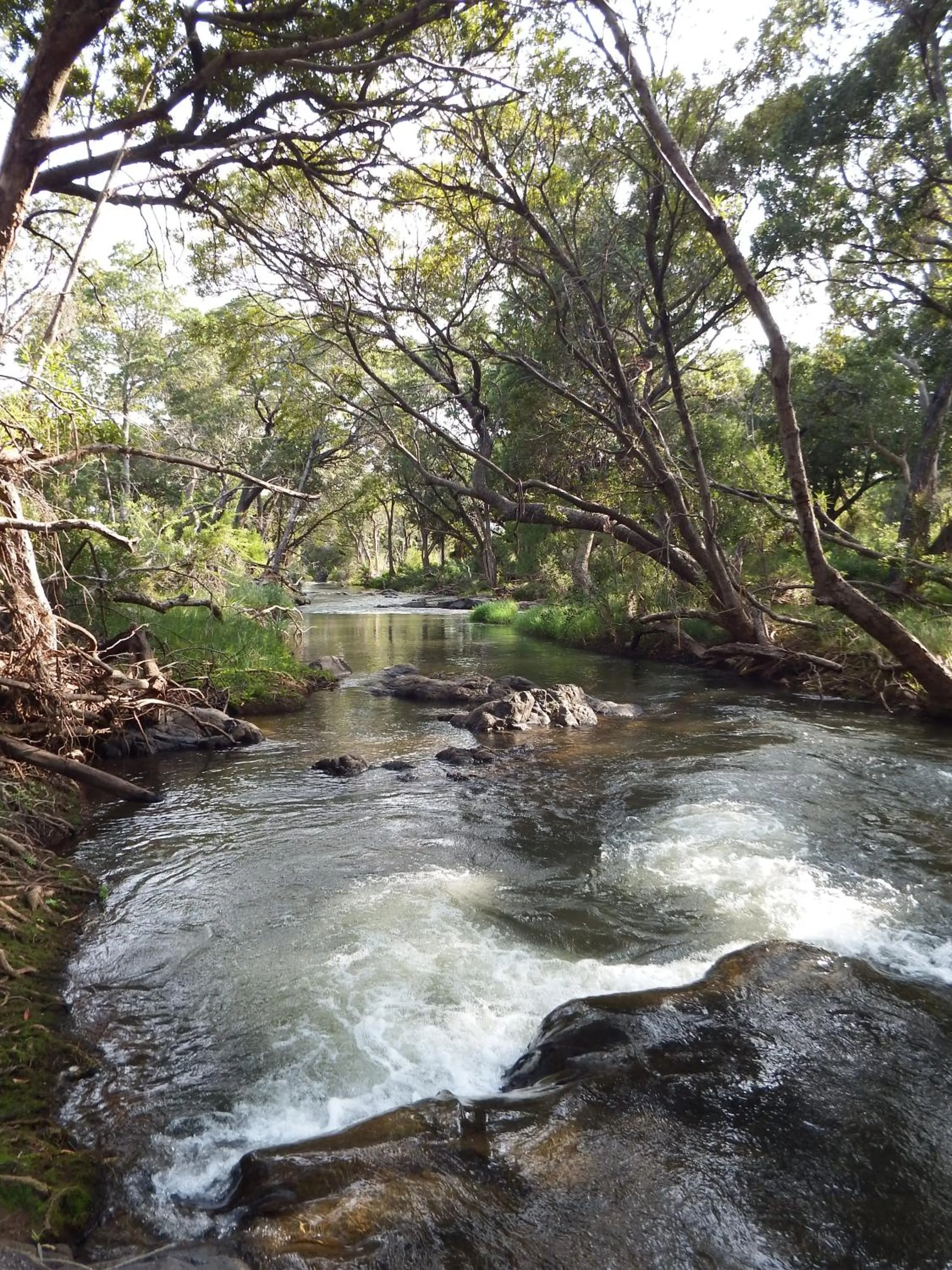 Blyde River Cabins