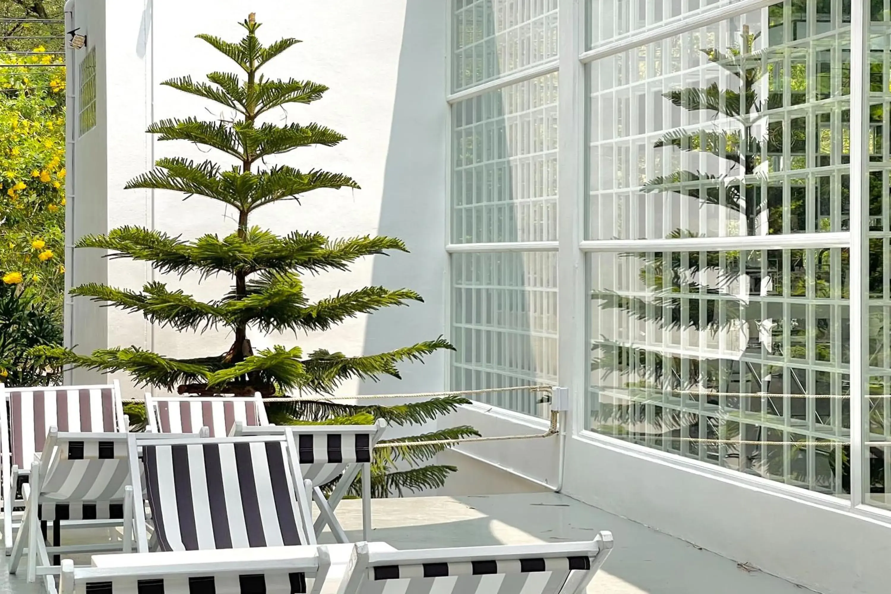 Lounge or bar in It my life cafe x camp Lounge or bar in It my life cafe x camp