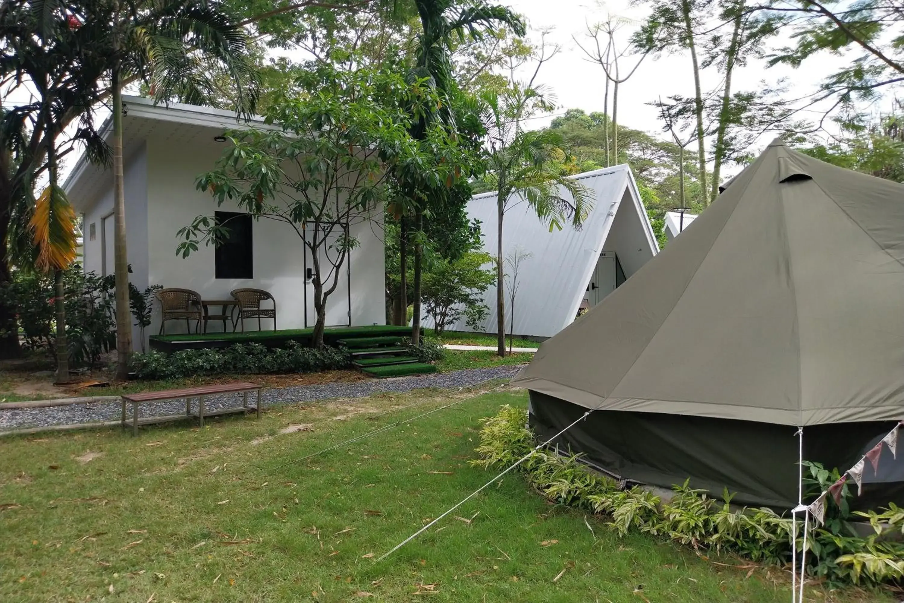 Property building in It my life cafe x camp Property building in It my life cafe x camp