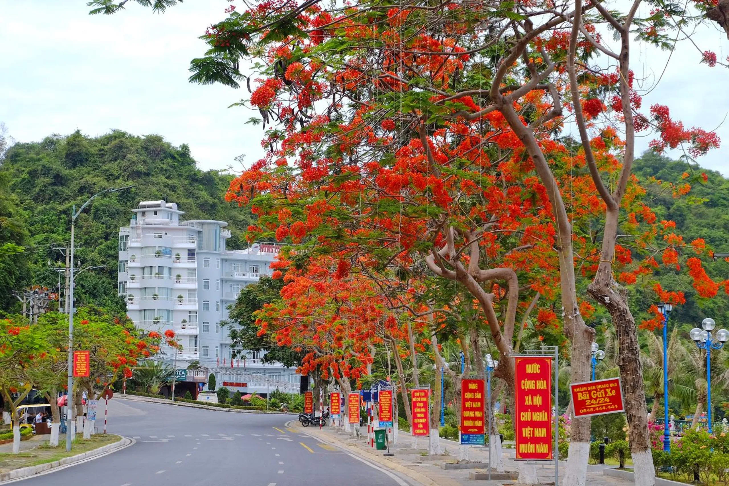 Property building in Hung Long Harbour Hotel