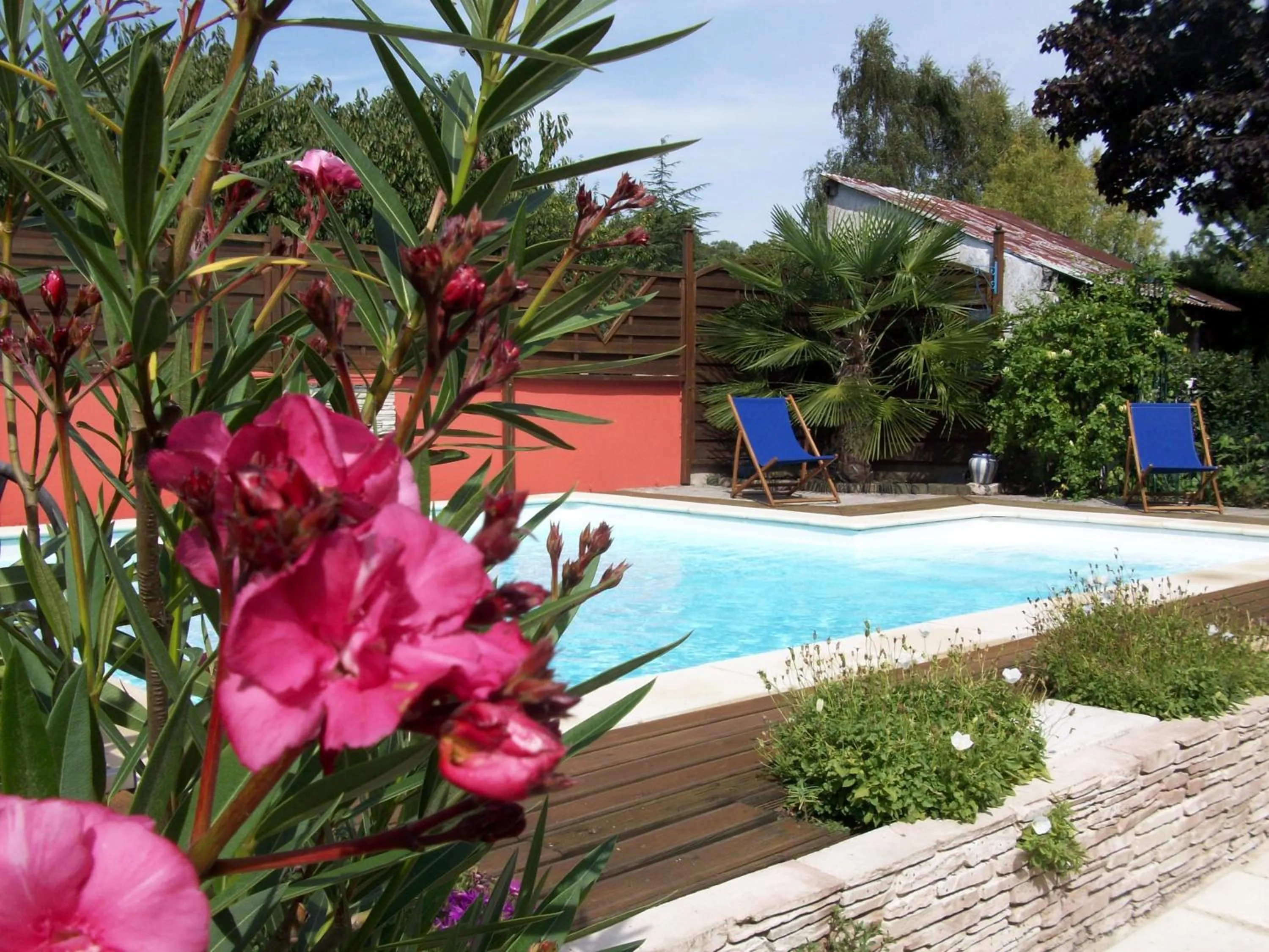 Swimming pool in Loire, Châteaux, et Vignes