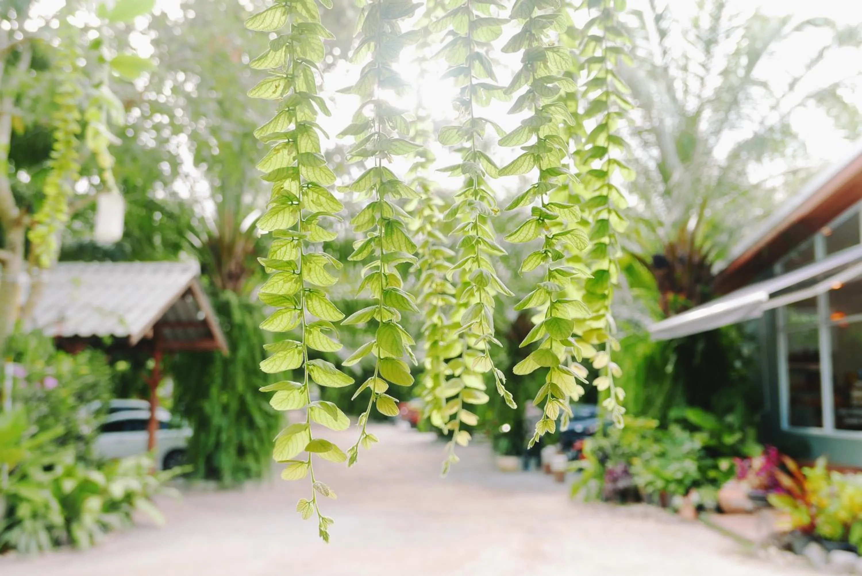 On site in Le Pes Villas