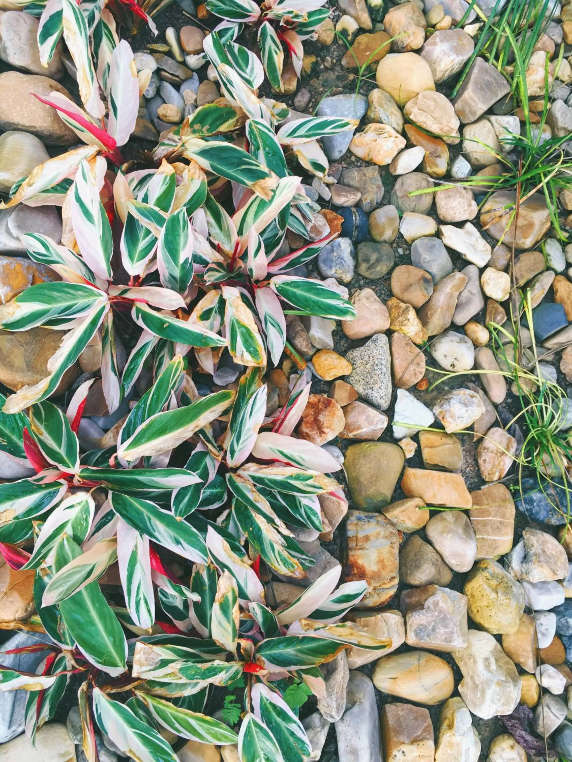 Property building in Le Pes Villas