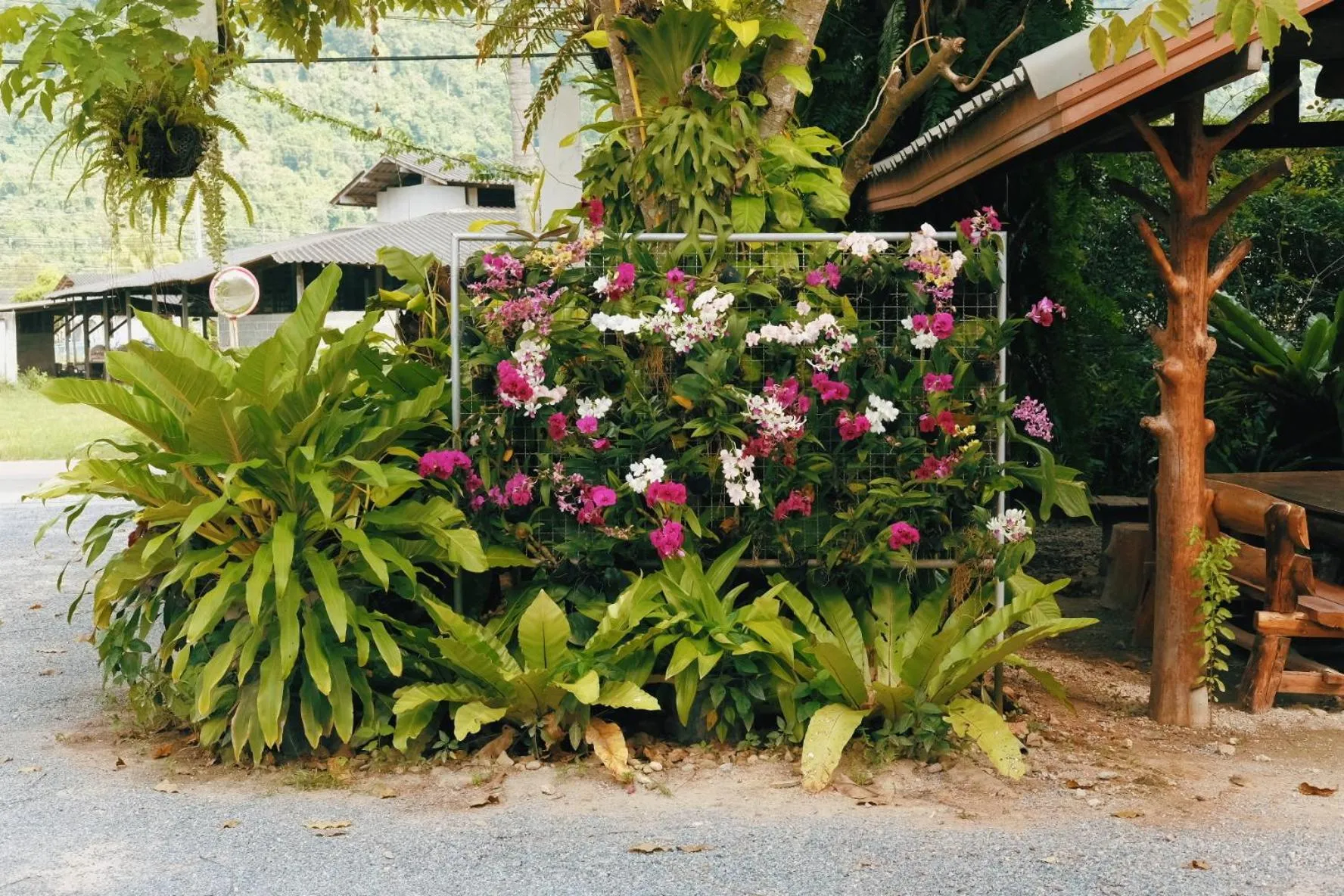 Garden in Le Pes Villas