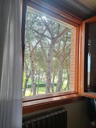 View (from property/room) in Hotel Restaurante El Montico