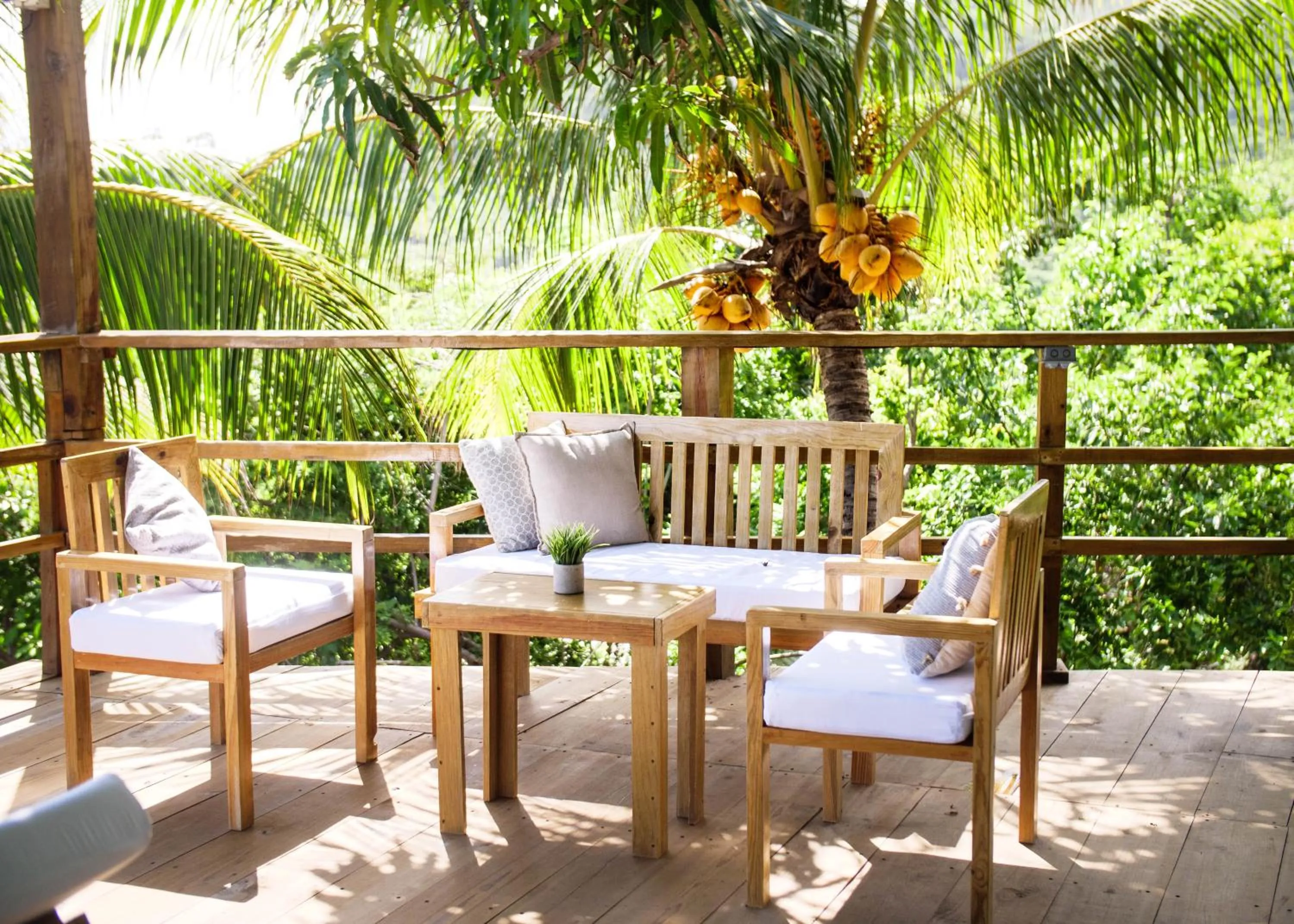 Garden in El Xalli Hotel