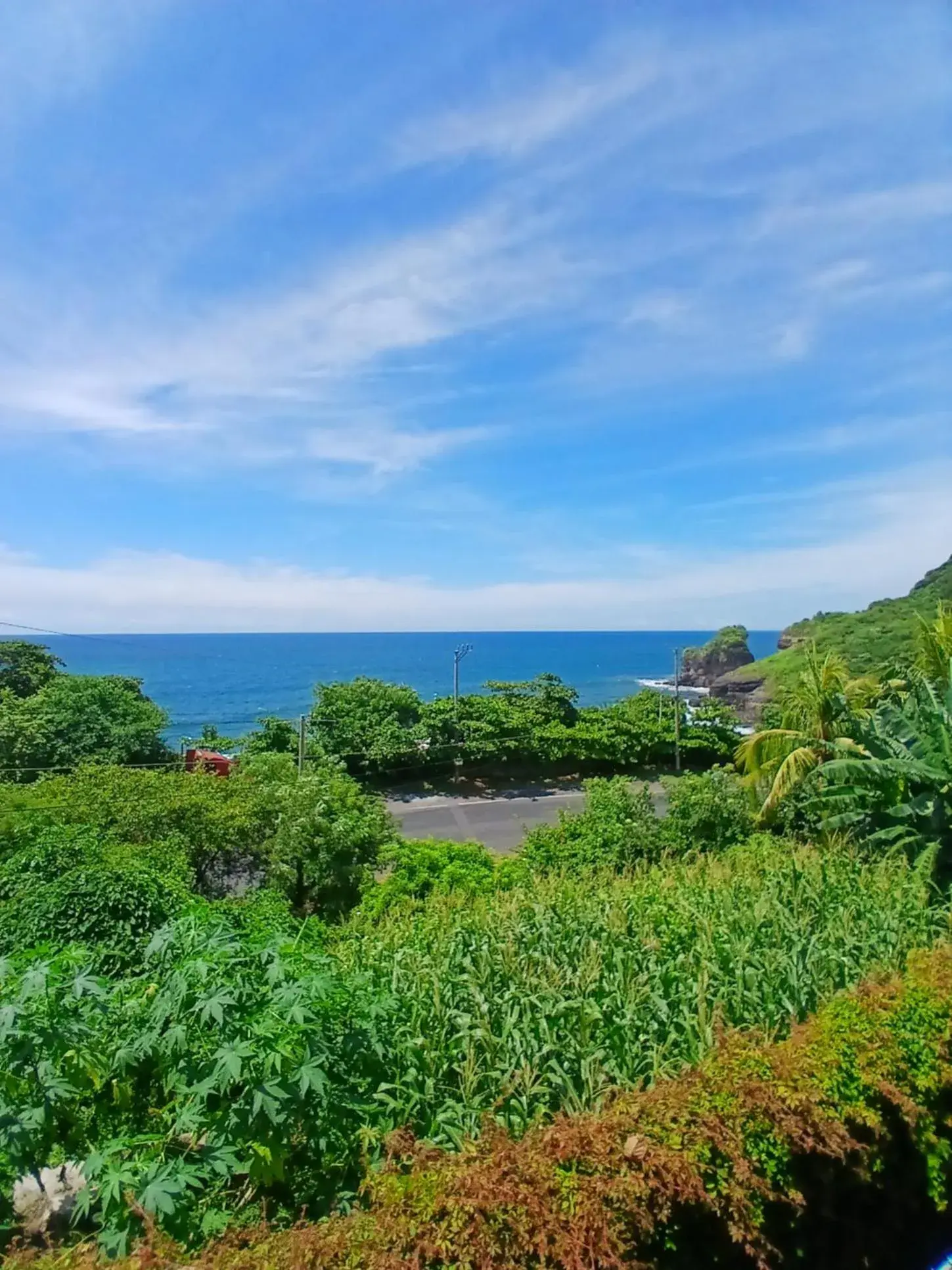 Garden view in El Xalli Hotel Garden view in El Xalli Hotel