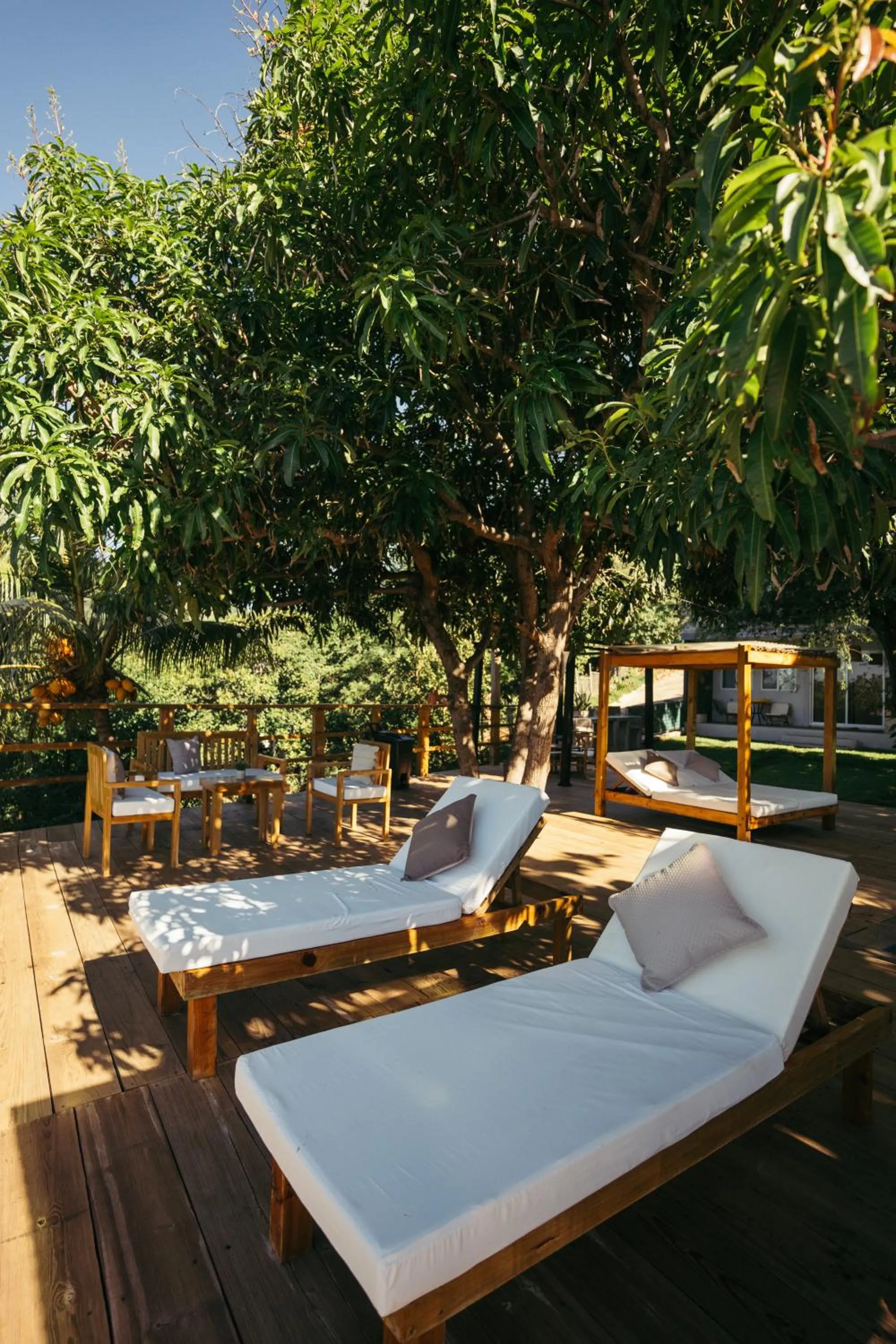 Swimming pool in El Xalli Hotel