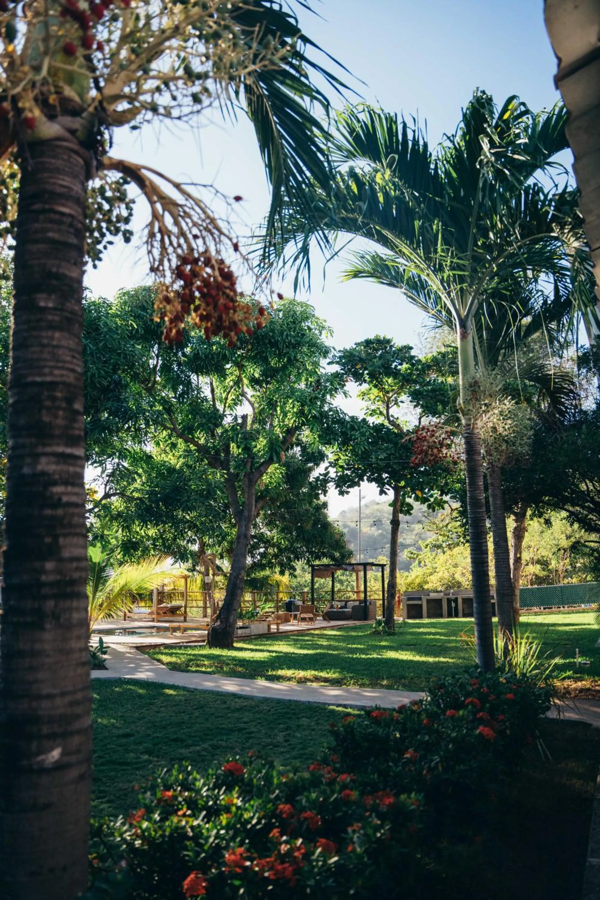 Garden in El Xalli Hotel
