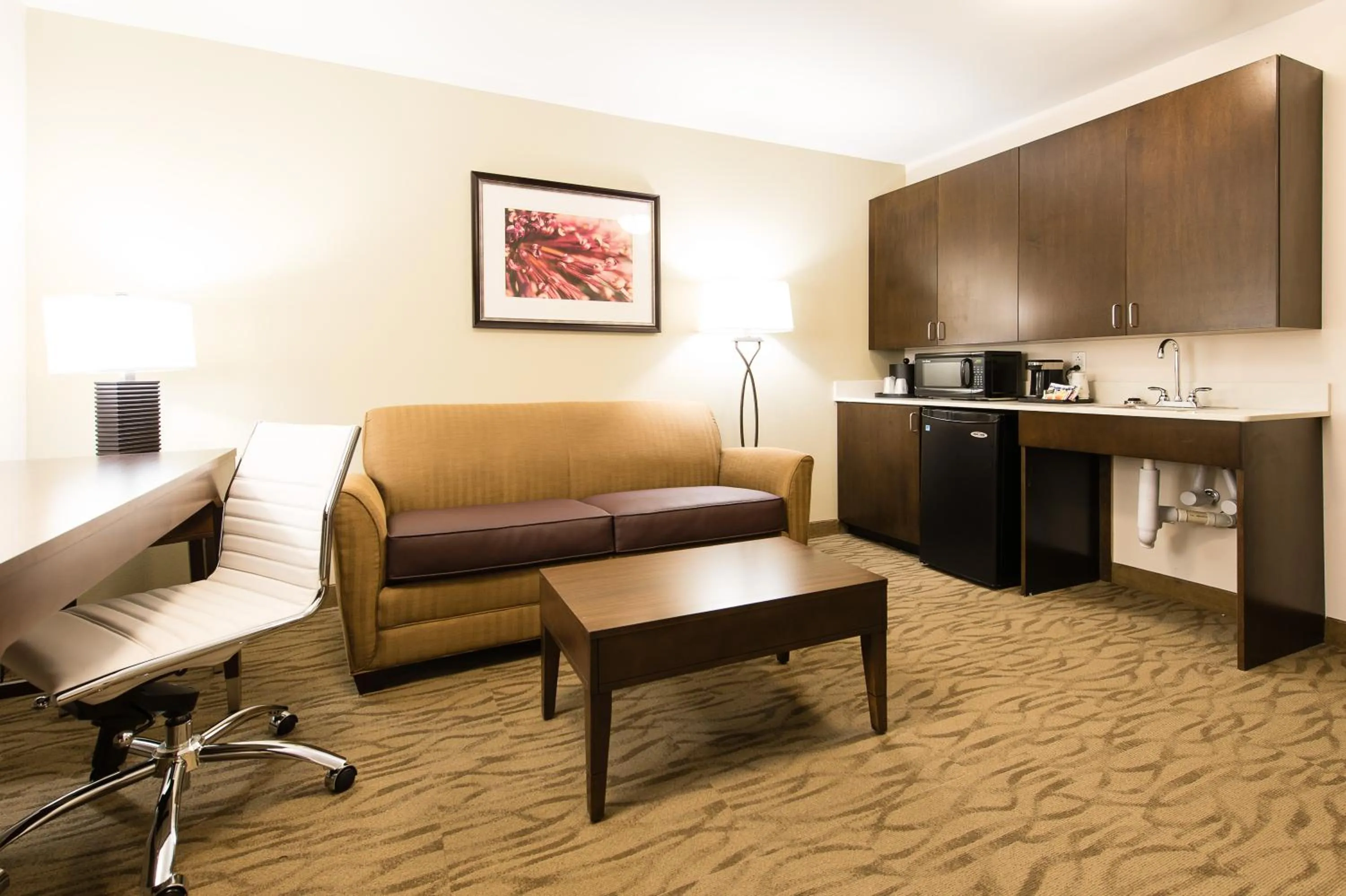 Seating area in Holiday Inn Express & Suites Aiken by IHG
