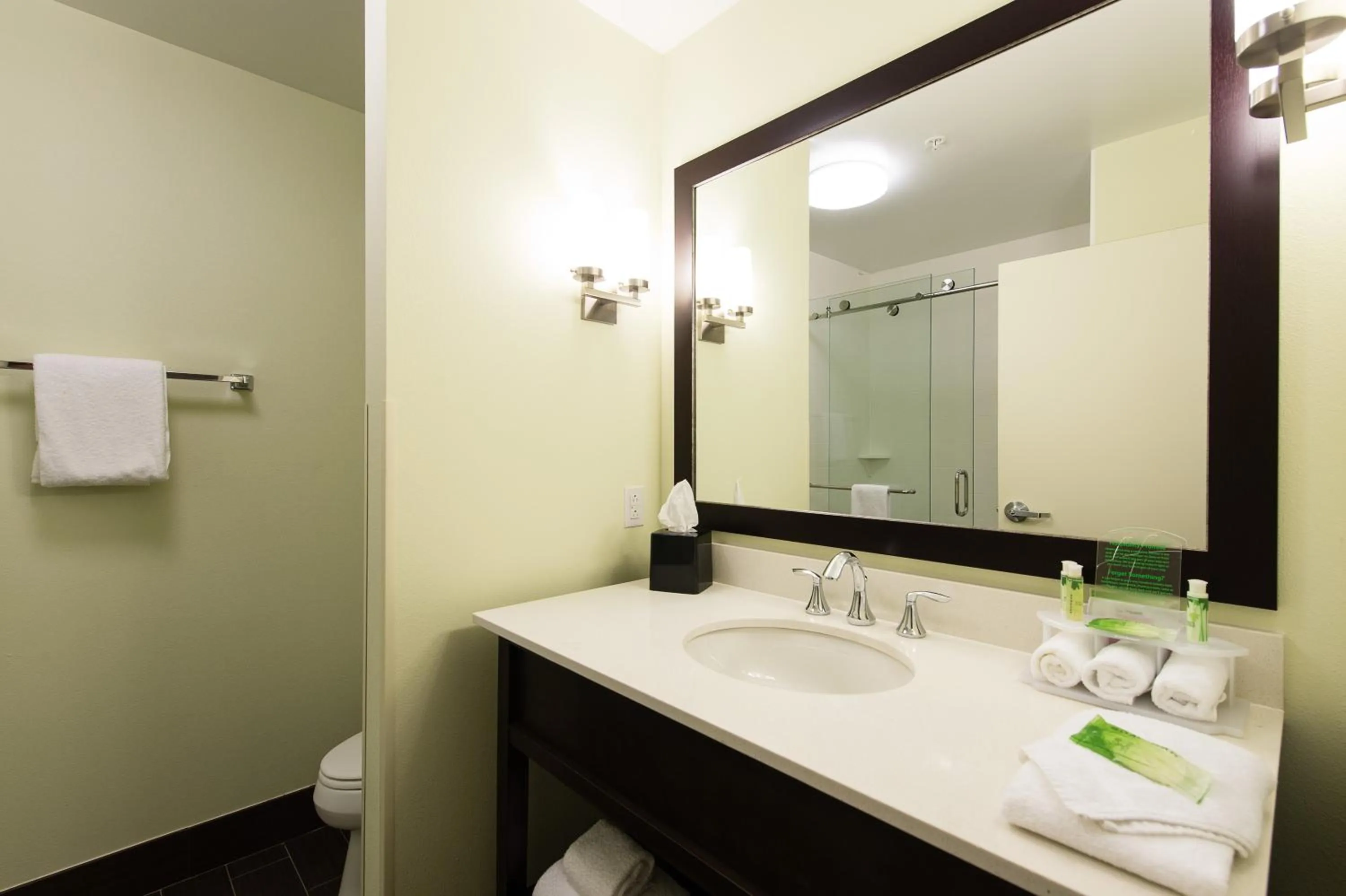 Bathroom in Holiday Inn Express & Suites Aiken by IHG