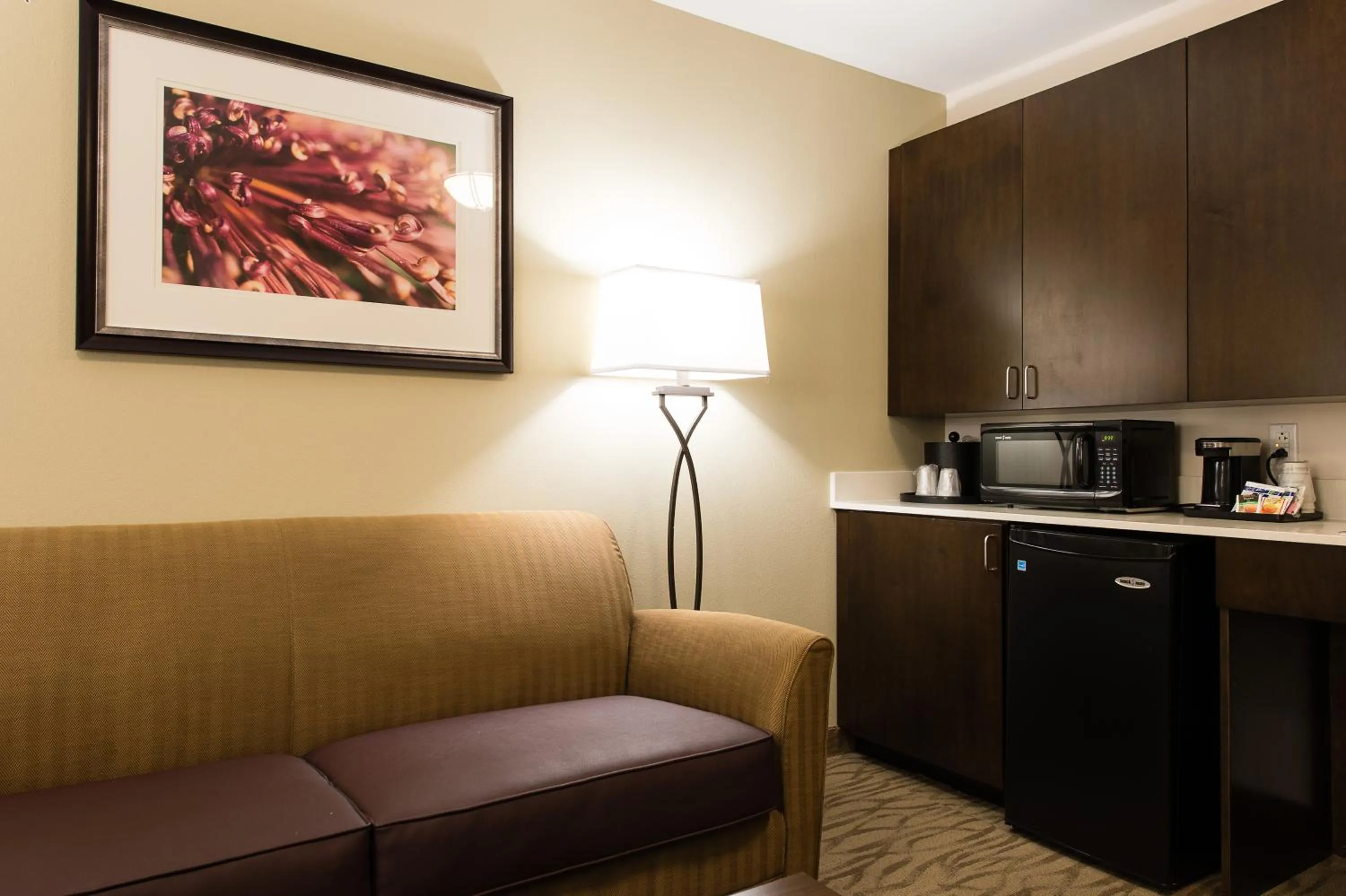 Kitchen or kitchenette in Holiday Inn Express & Suites Aiken by IHG