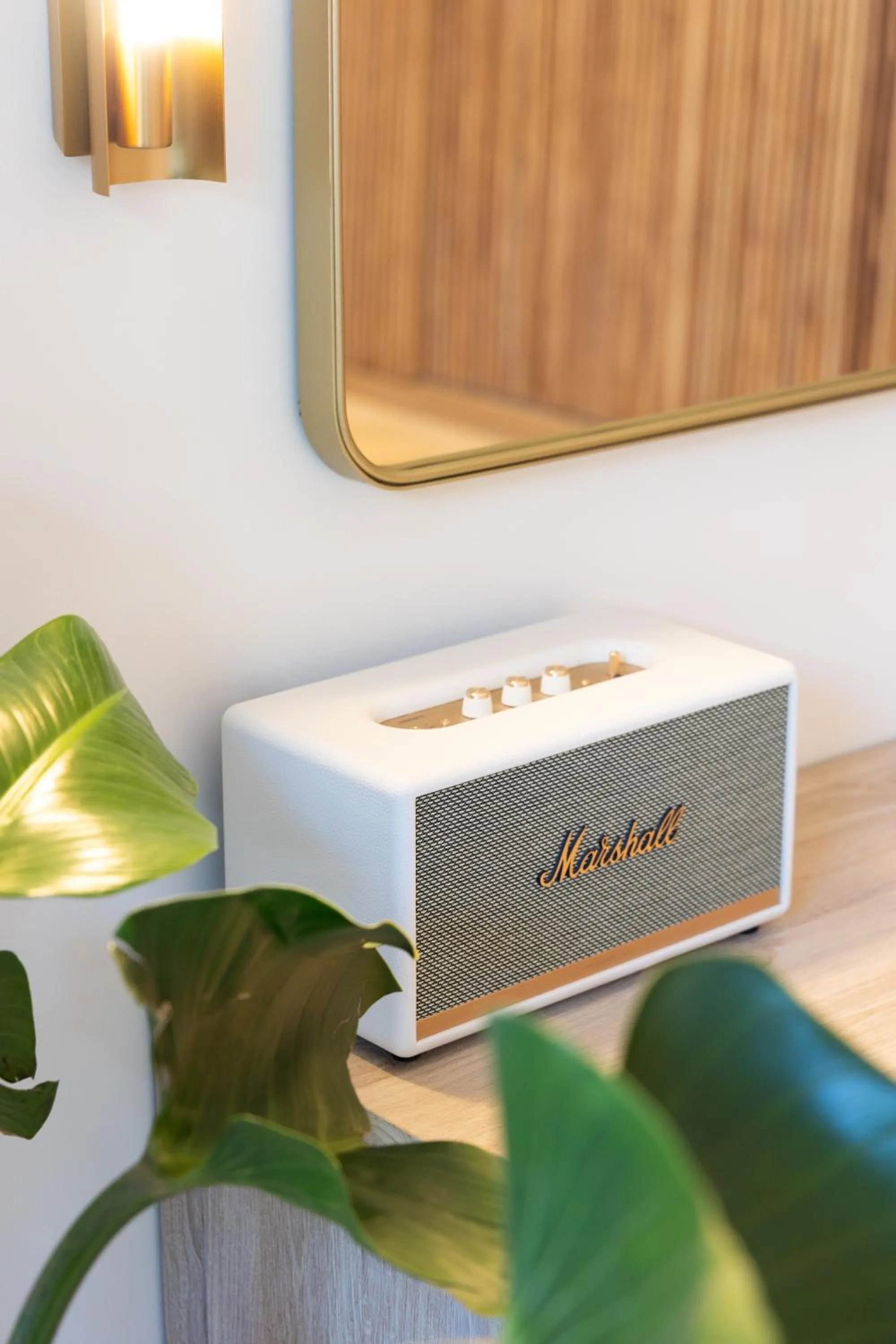 Entertainment in Silvestre Nosara Hotel & Residences