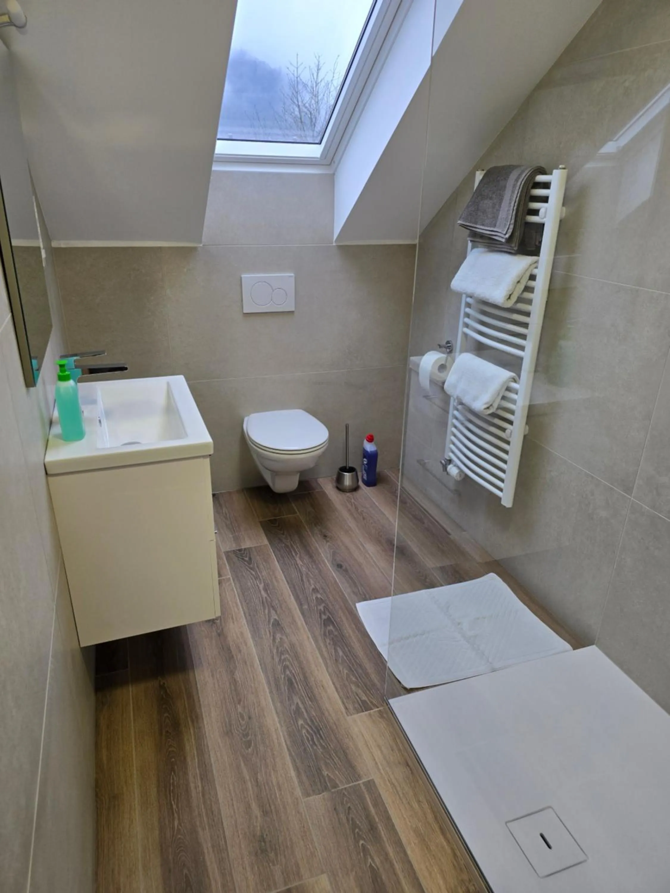 Toilet in Apartments Boldin