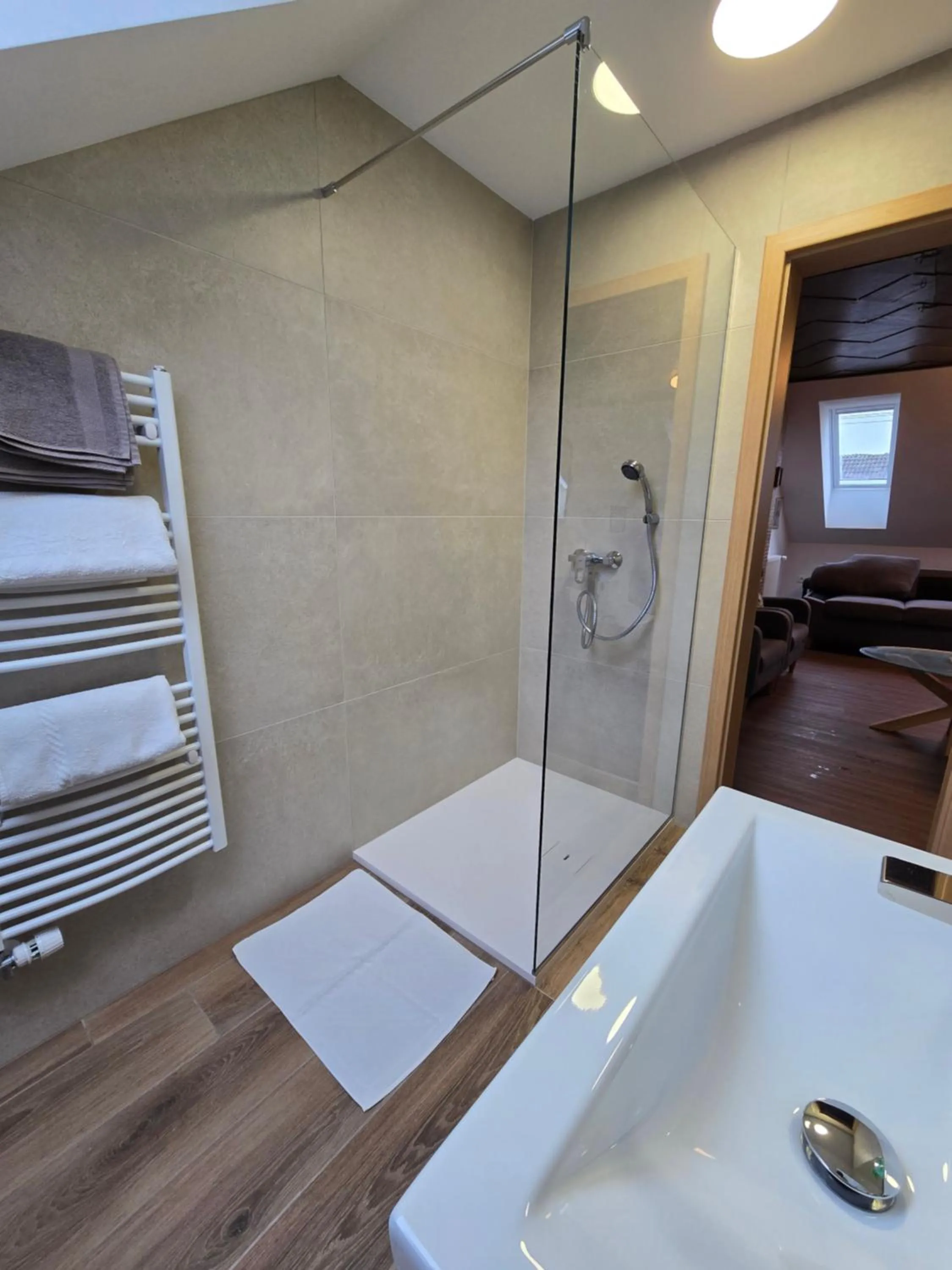 Shower in Apartments Boldin