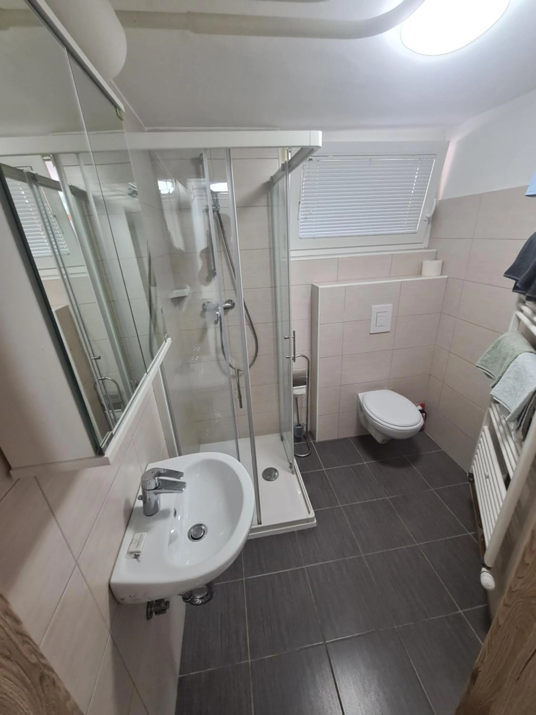 Toilet in Apartments Boldin