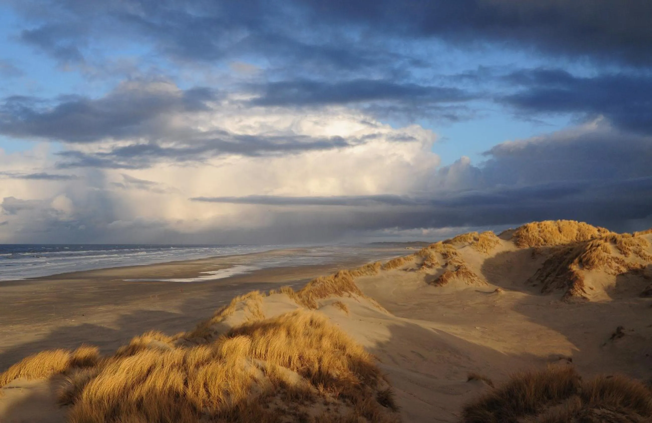 Natural landscape in Hotel De Walvisvaarder