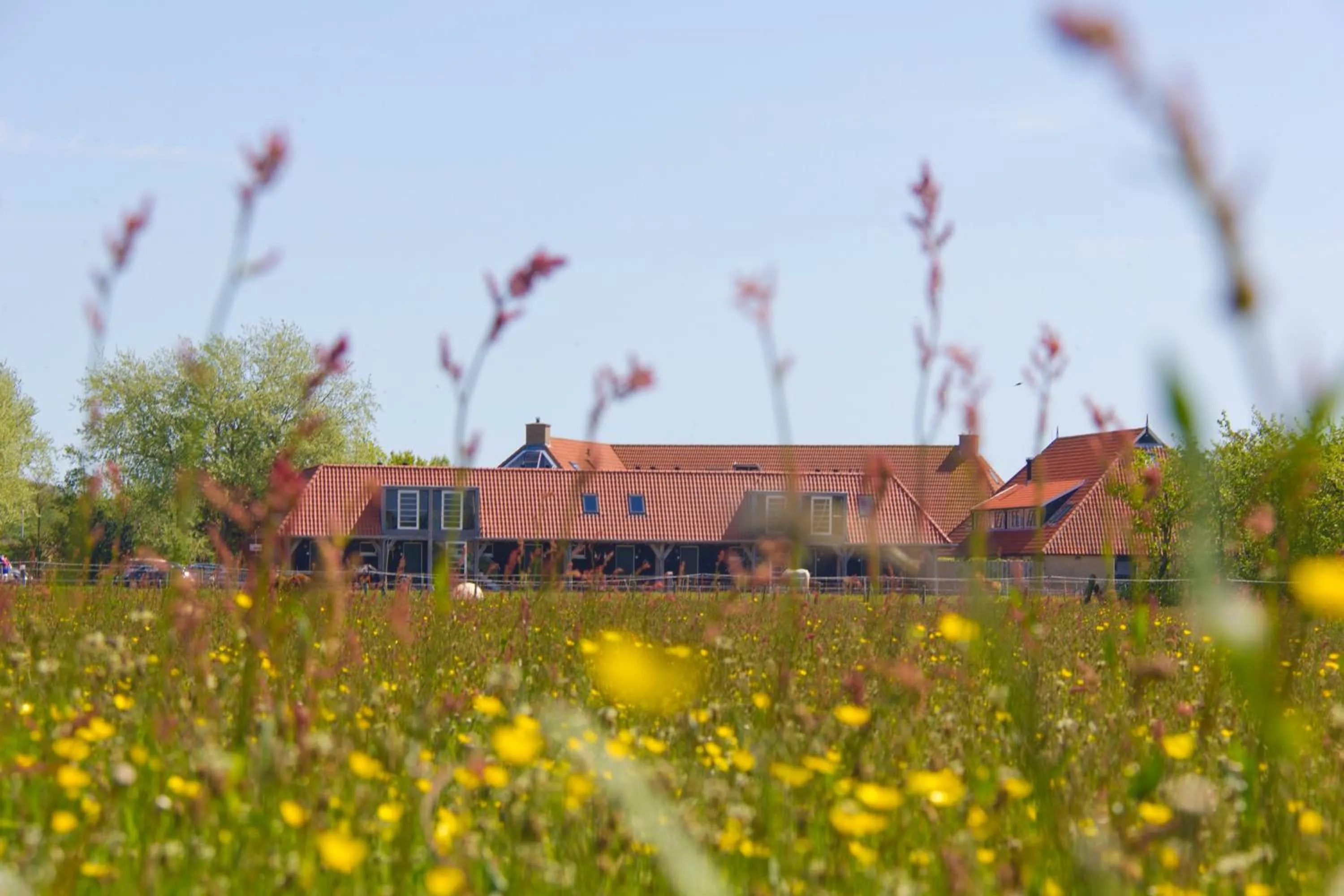 Garden in Hotel De Walvisvaarder