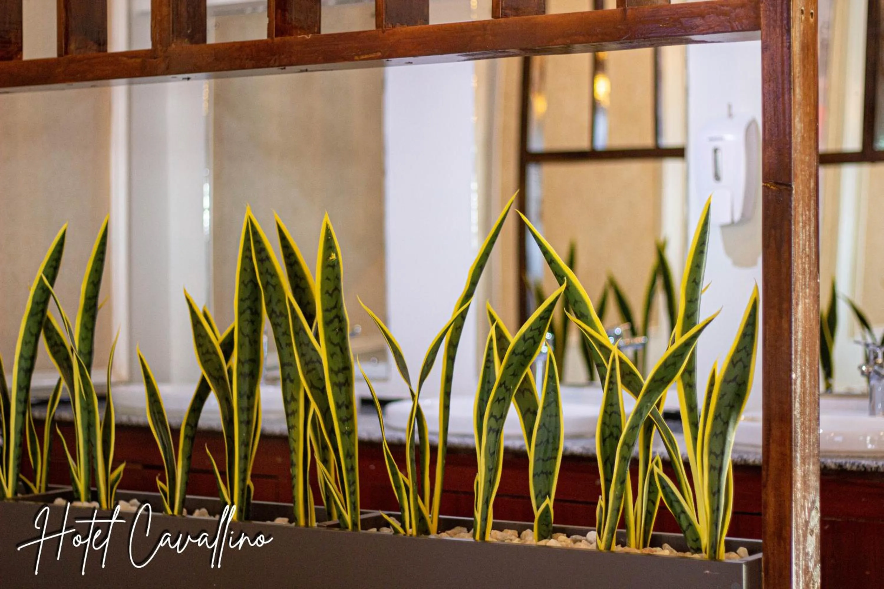 Restaurant/places to eat in Hotel Cavallino