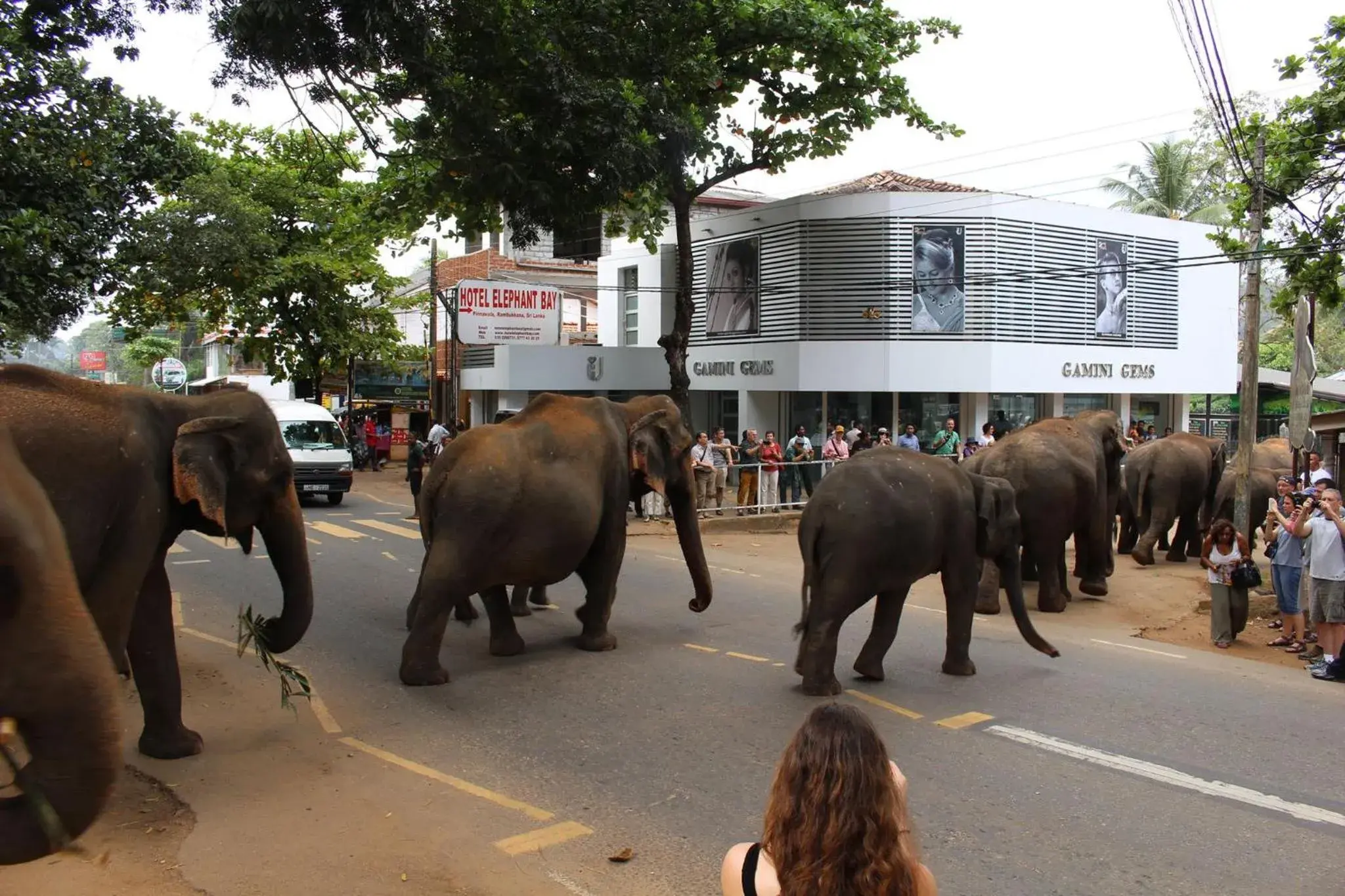 Natural landscape in Cafe Pinnalanda Rooms Natural landscape in Cafe Pinnalanda Rooms