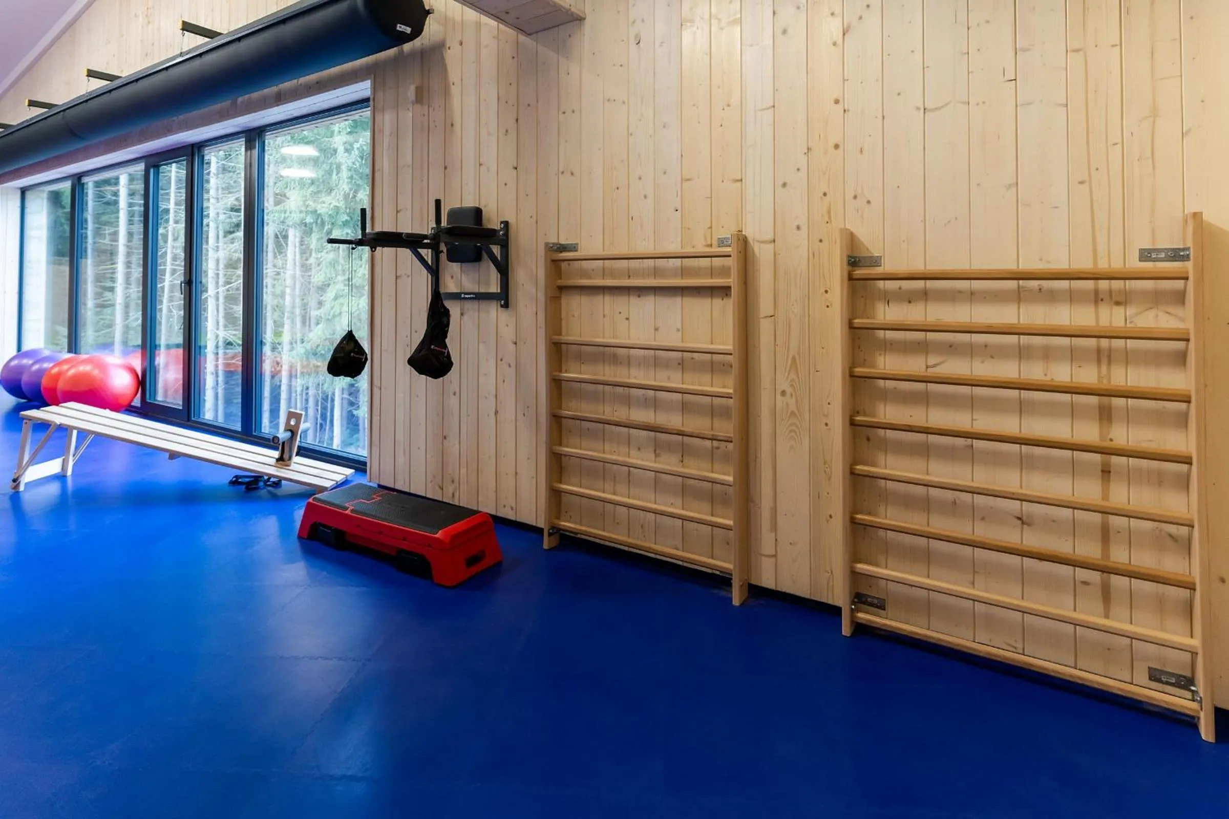 Fitness centre/facilities in Spa & Wellness Hotel Fitak****