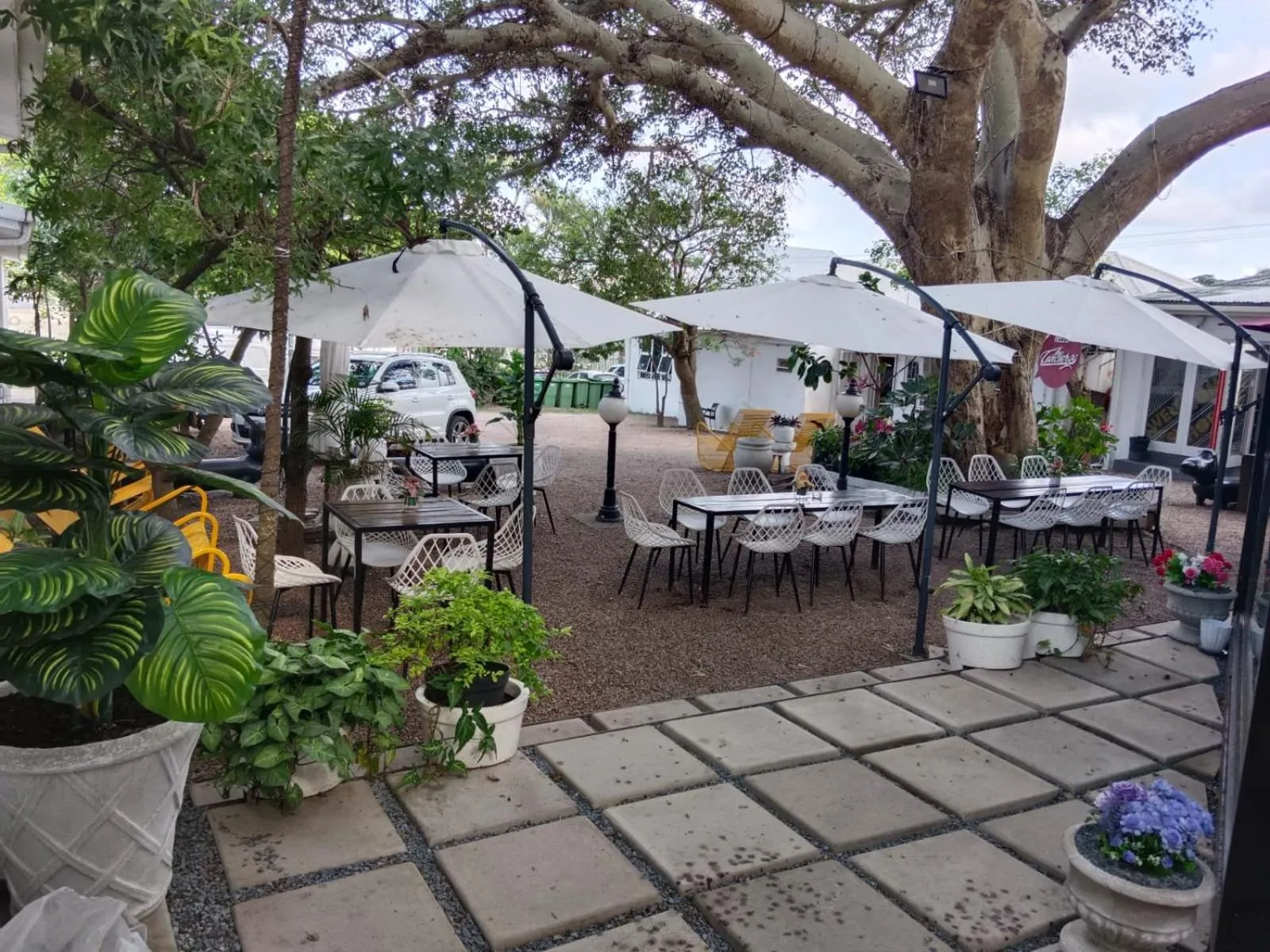 Garden in concierge hotel