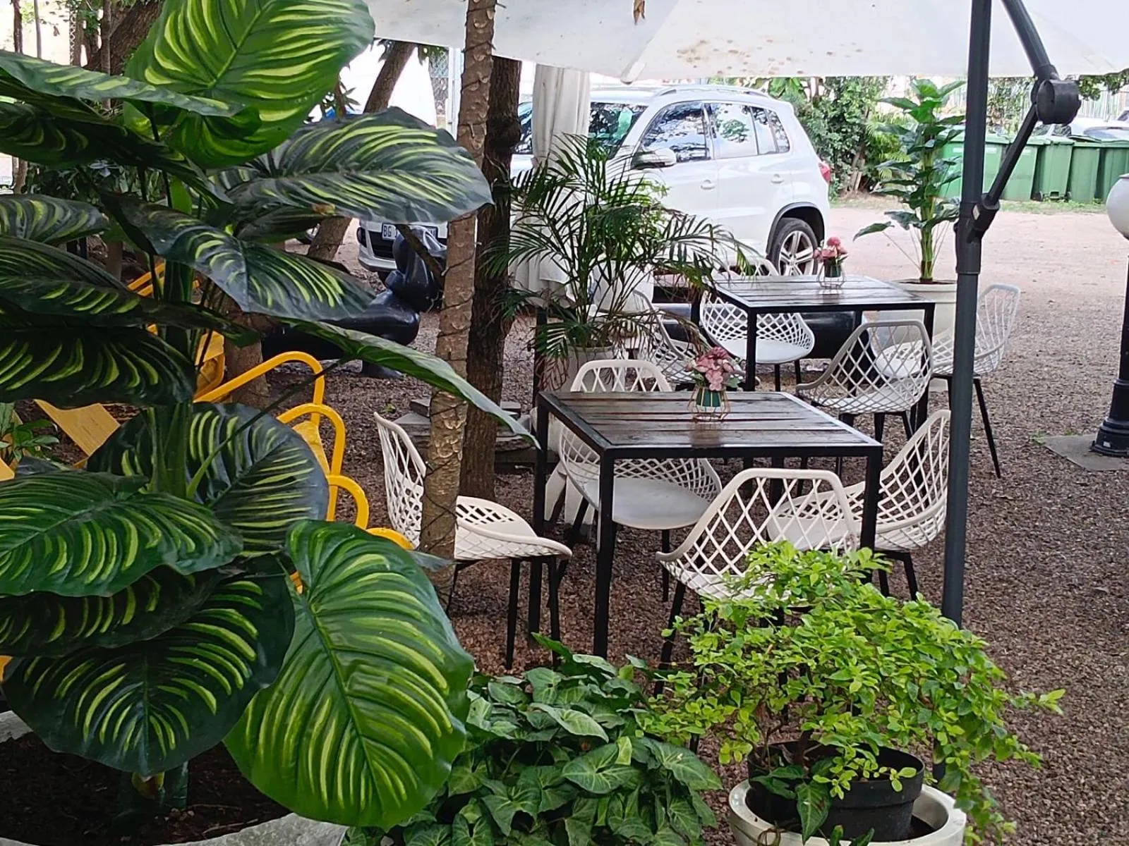 Restaurant/places to eat in concierge hotel