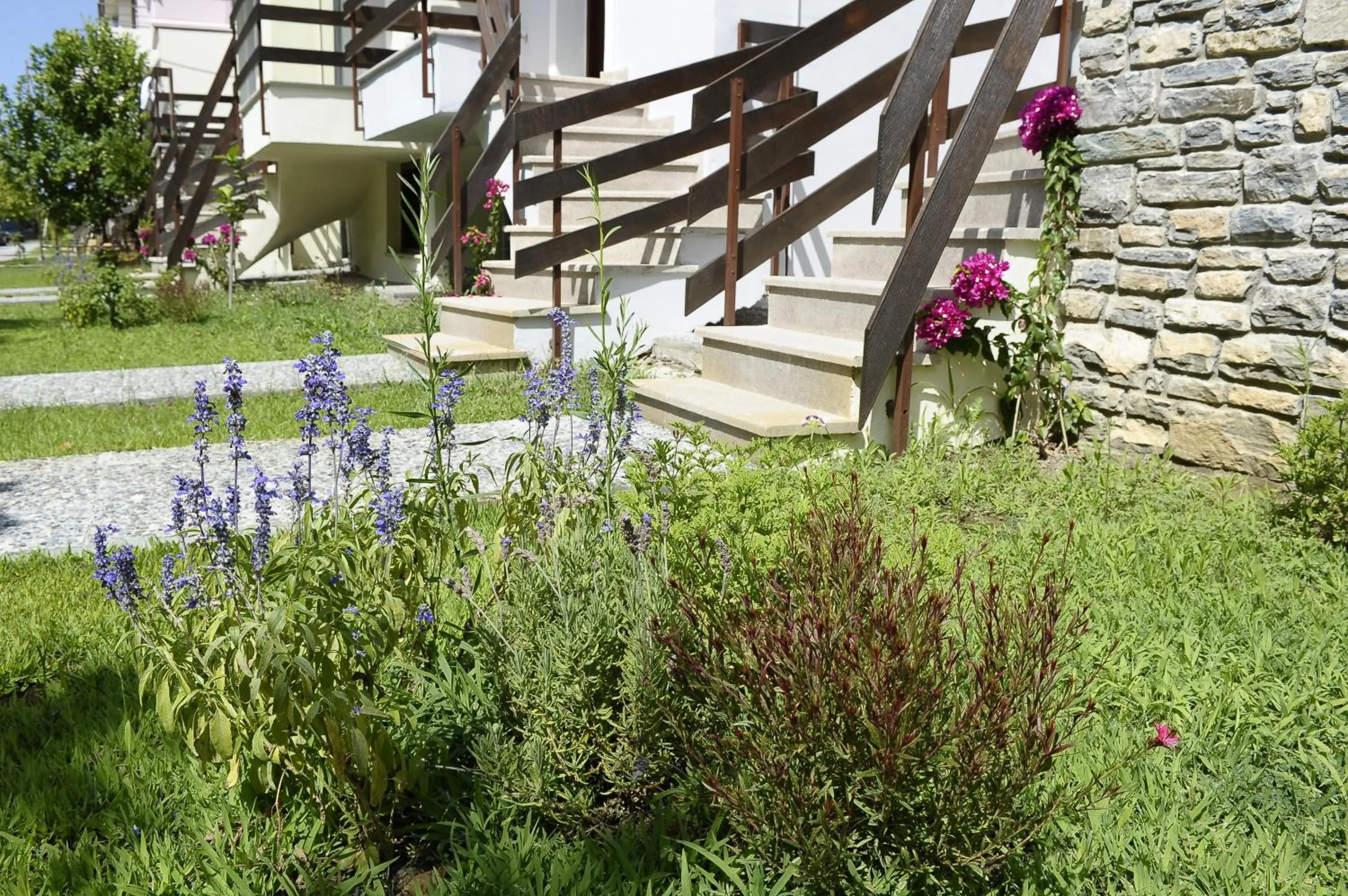 Day in Levantes Villas