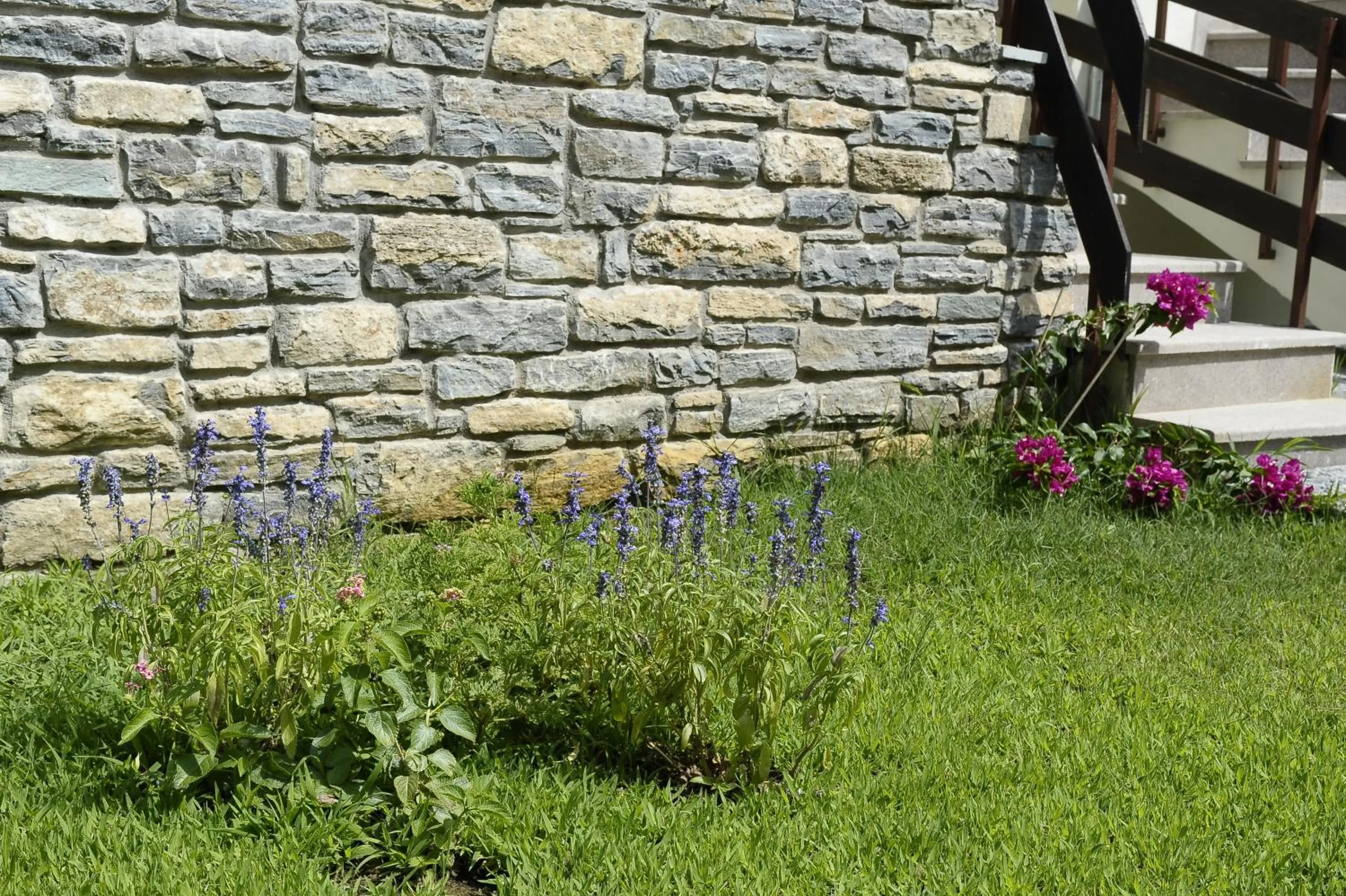 Day in Levantes Villas