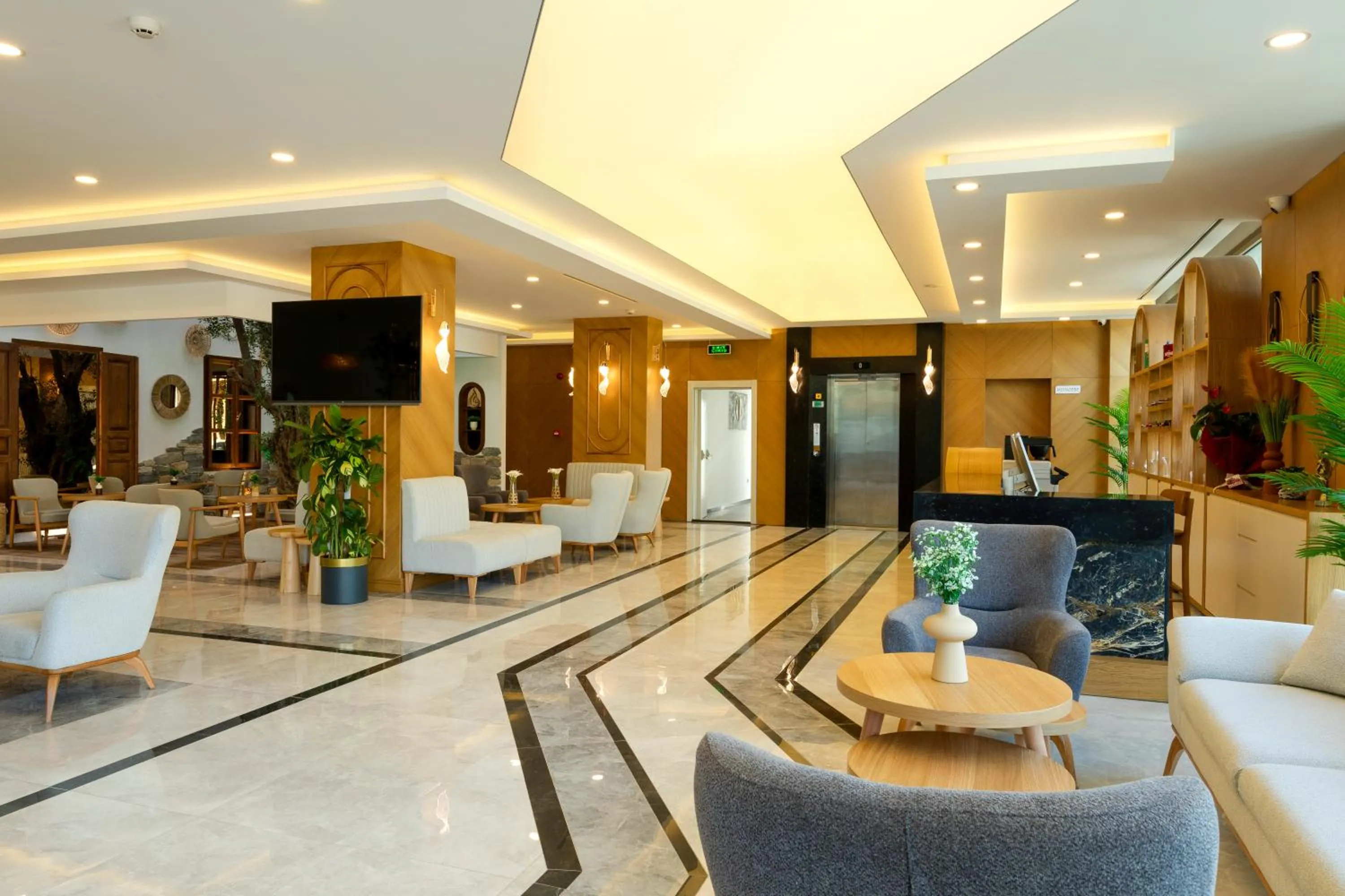 TV and multimedia in Güllük Uno Elegance Otel